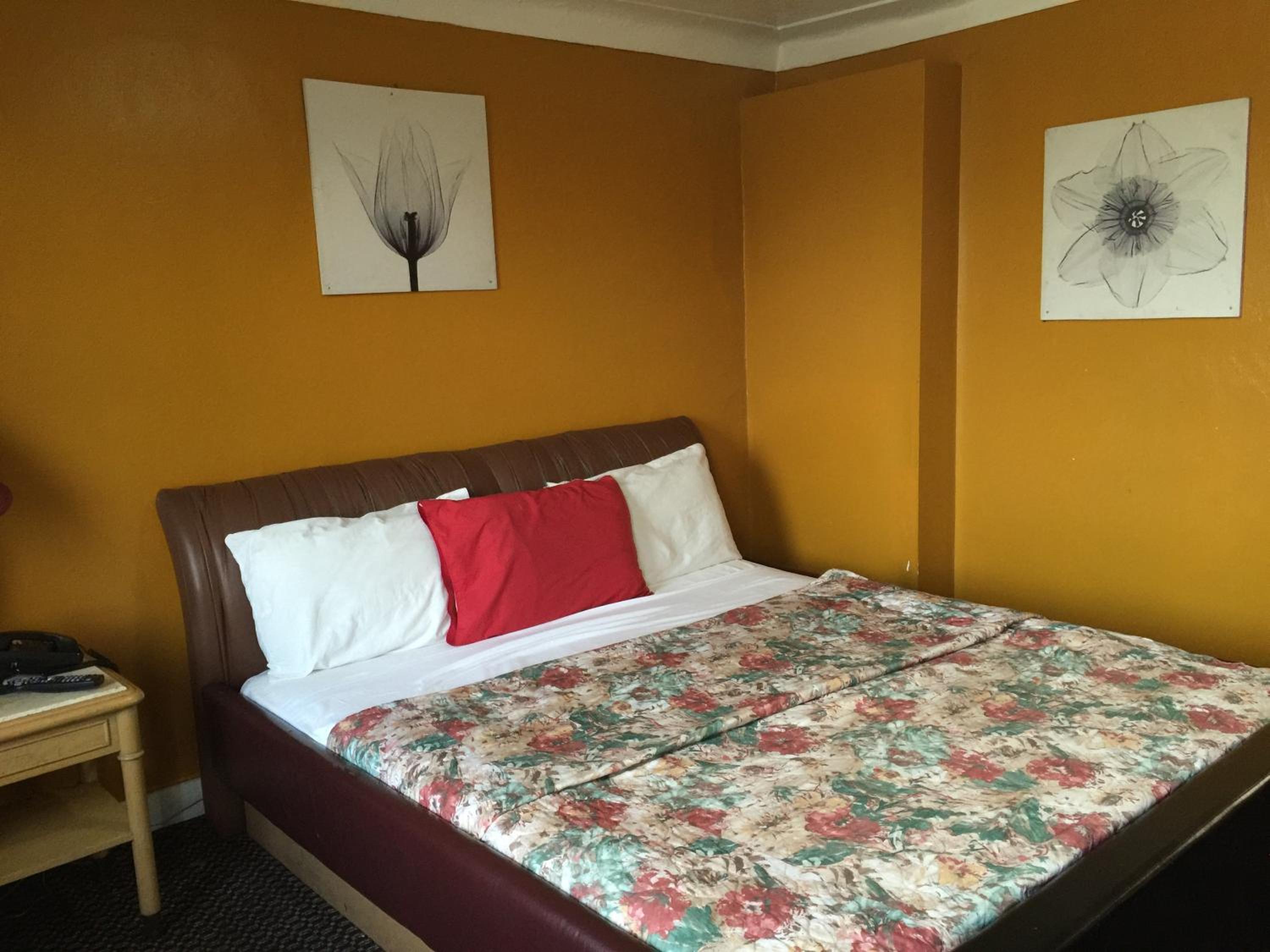 King Room photo 1
