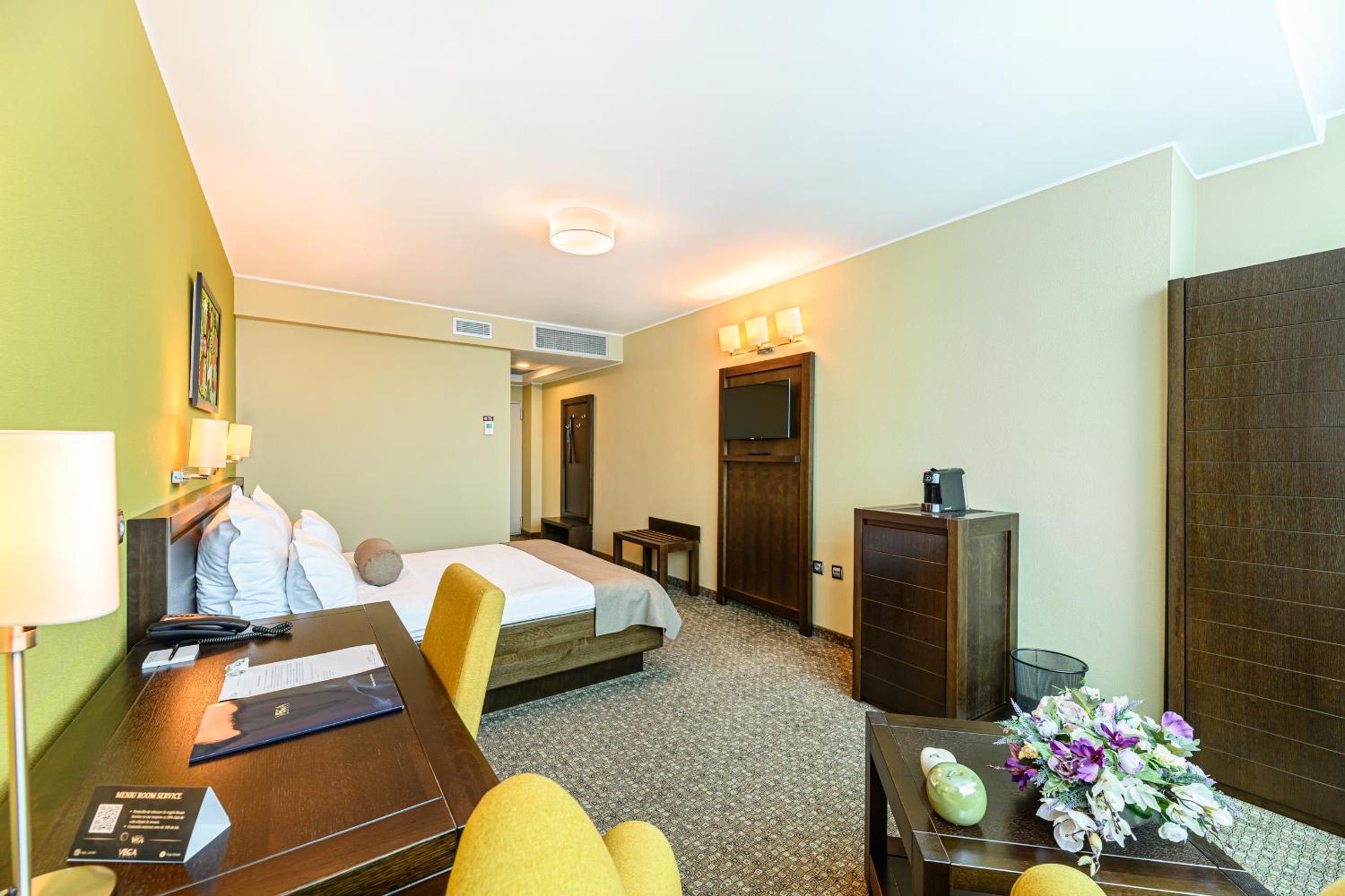 Business Double Room with Danube View - Photo 5