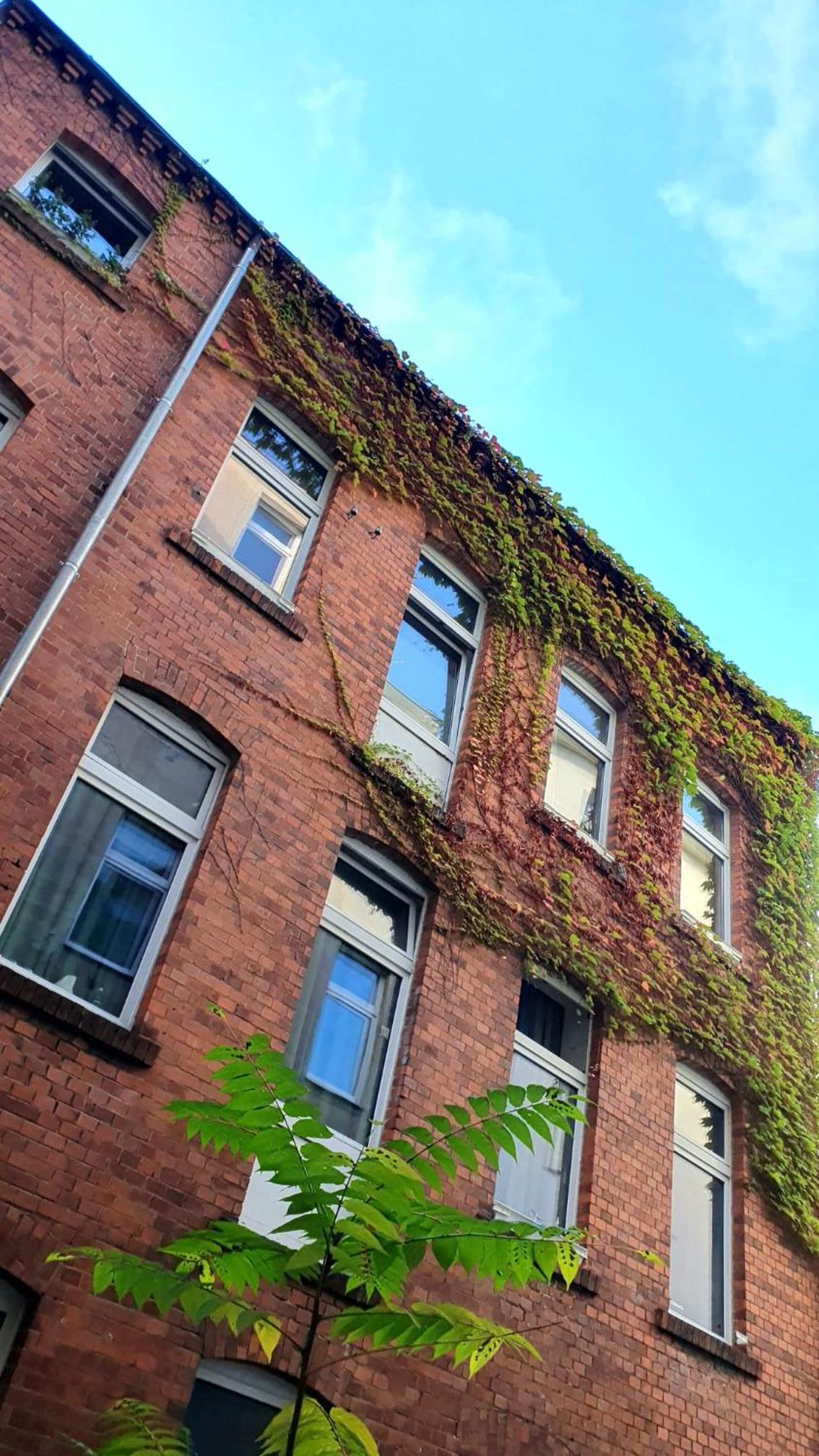 Small Double Room photo 2