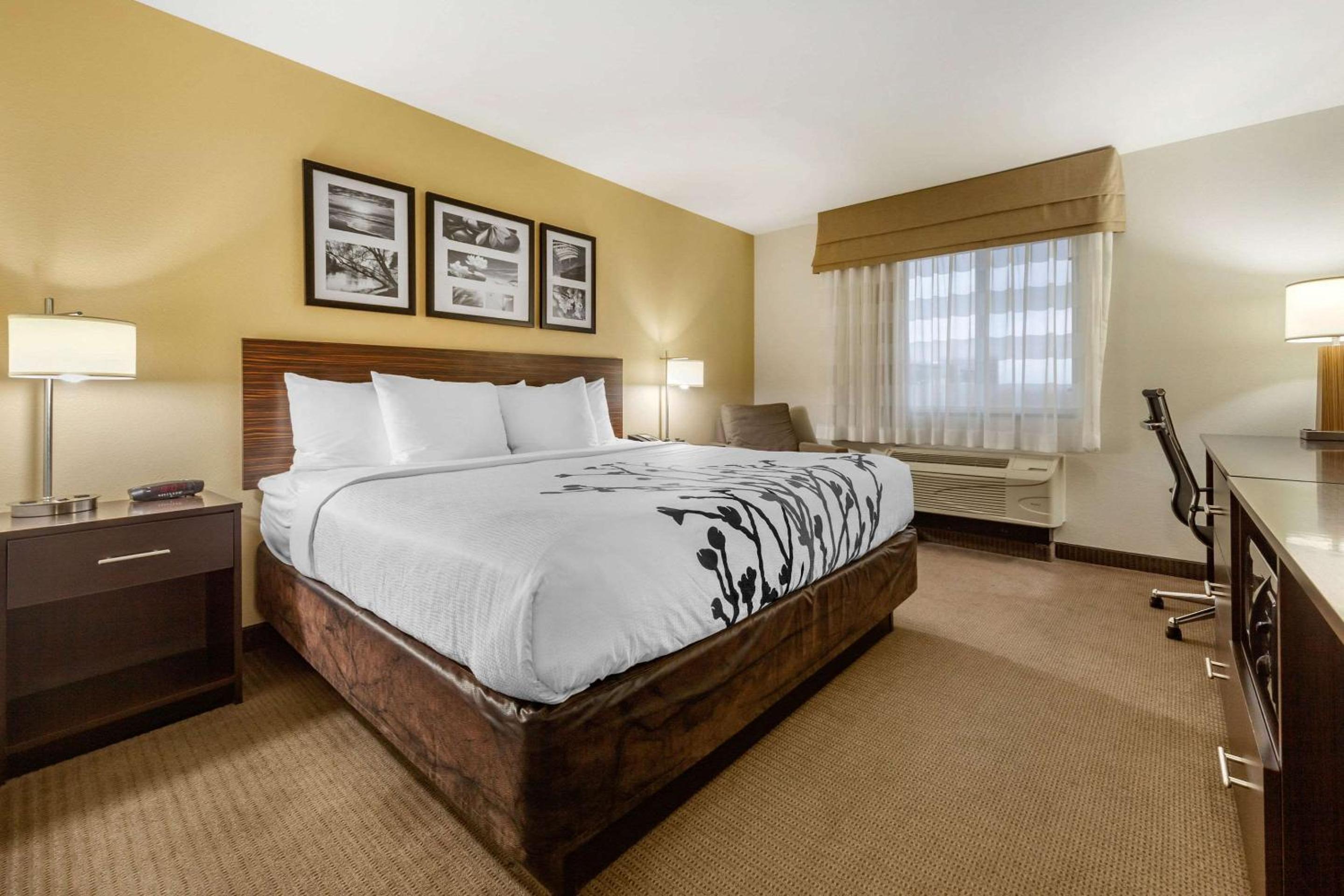 King Room - Non-Smoking - Photo 1