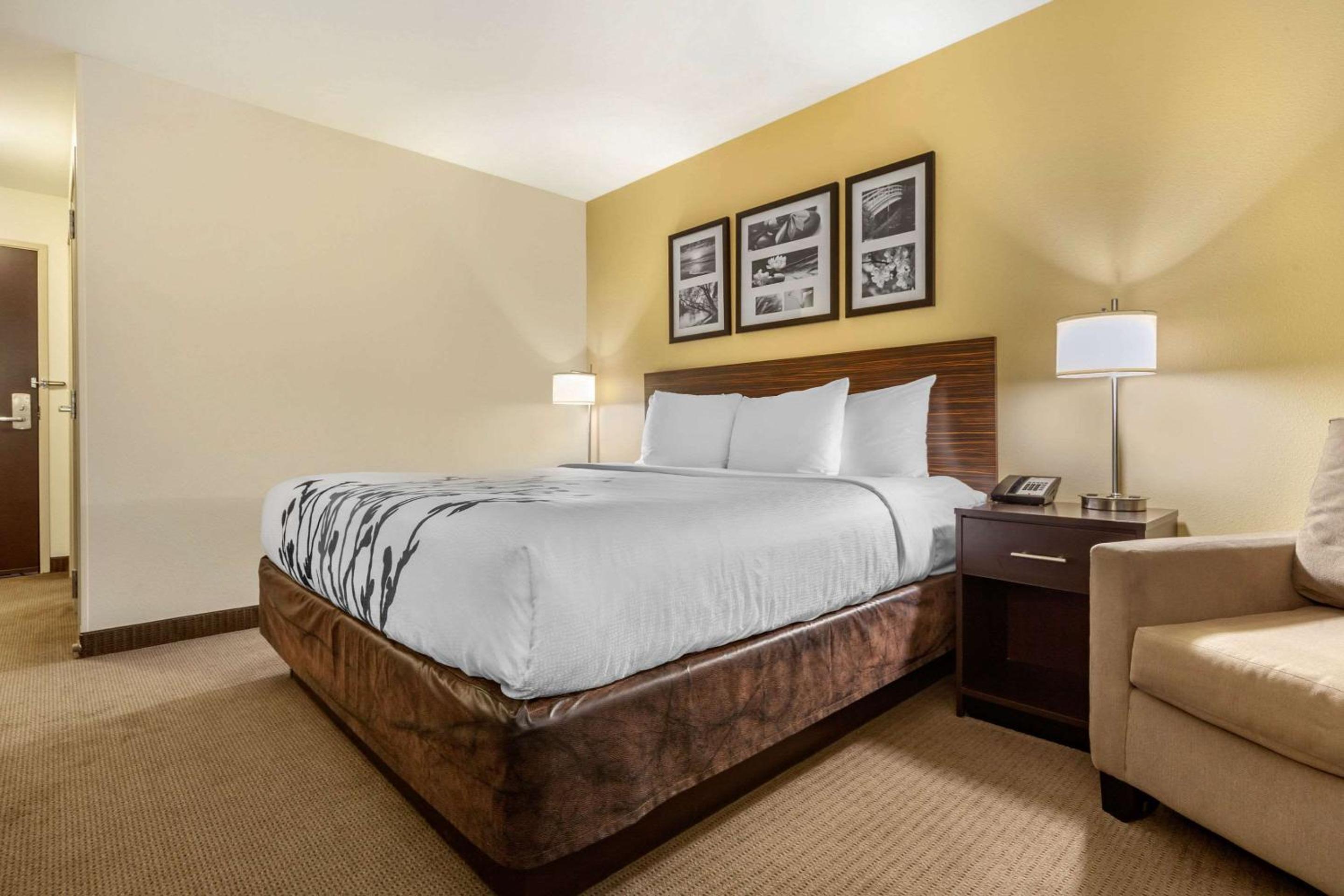 King Room - Non-Smoking - Photo 3