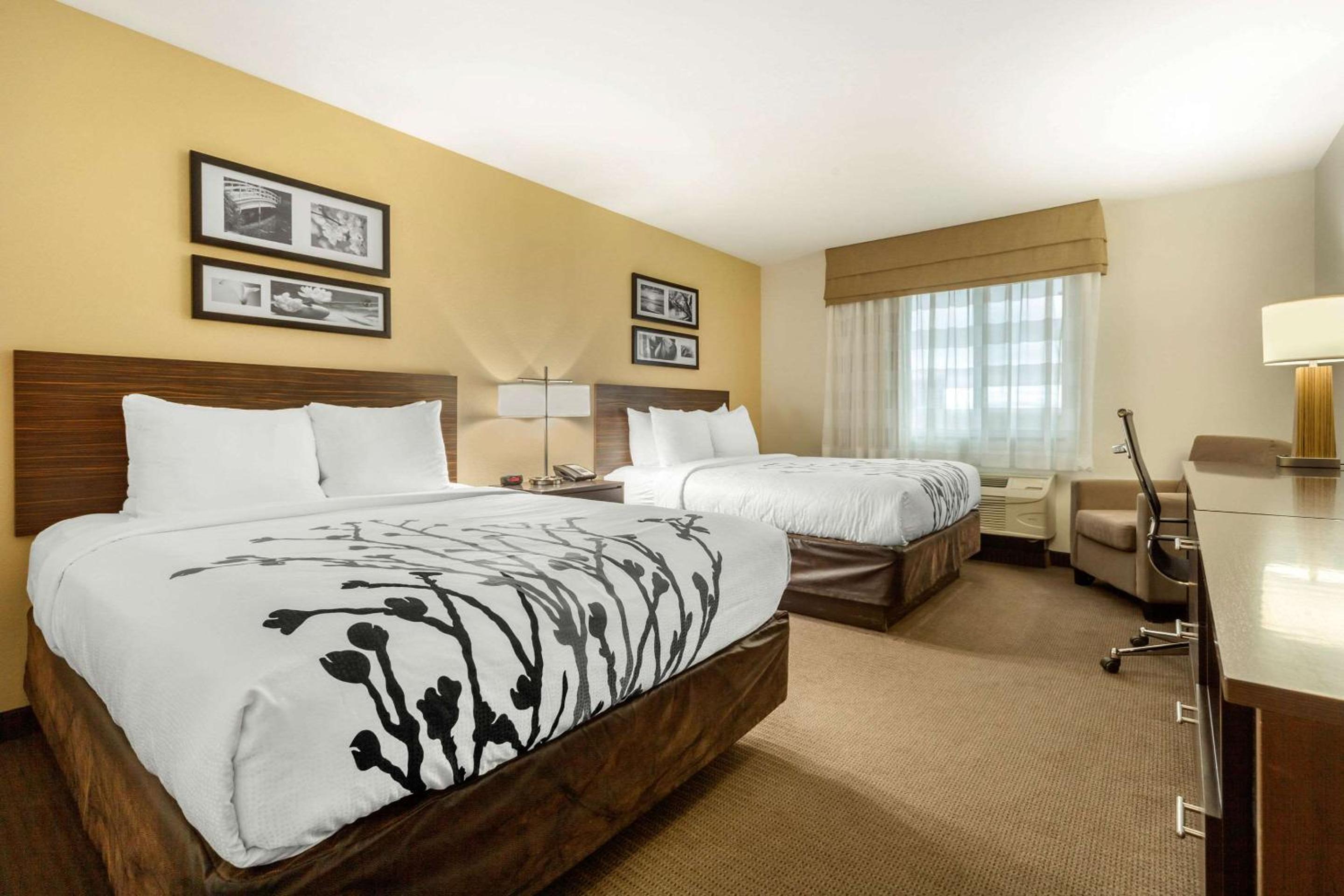 Standard Queen Room with Two Queen Beds - Non-Smoking - Photo 1
