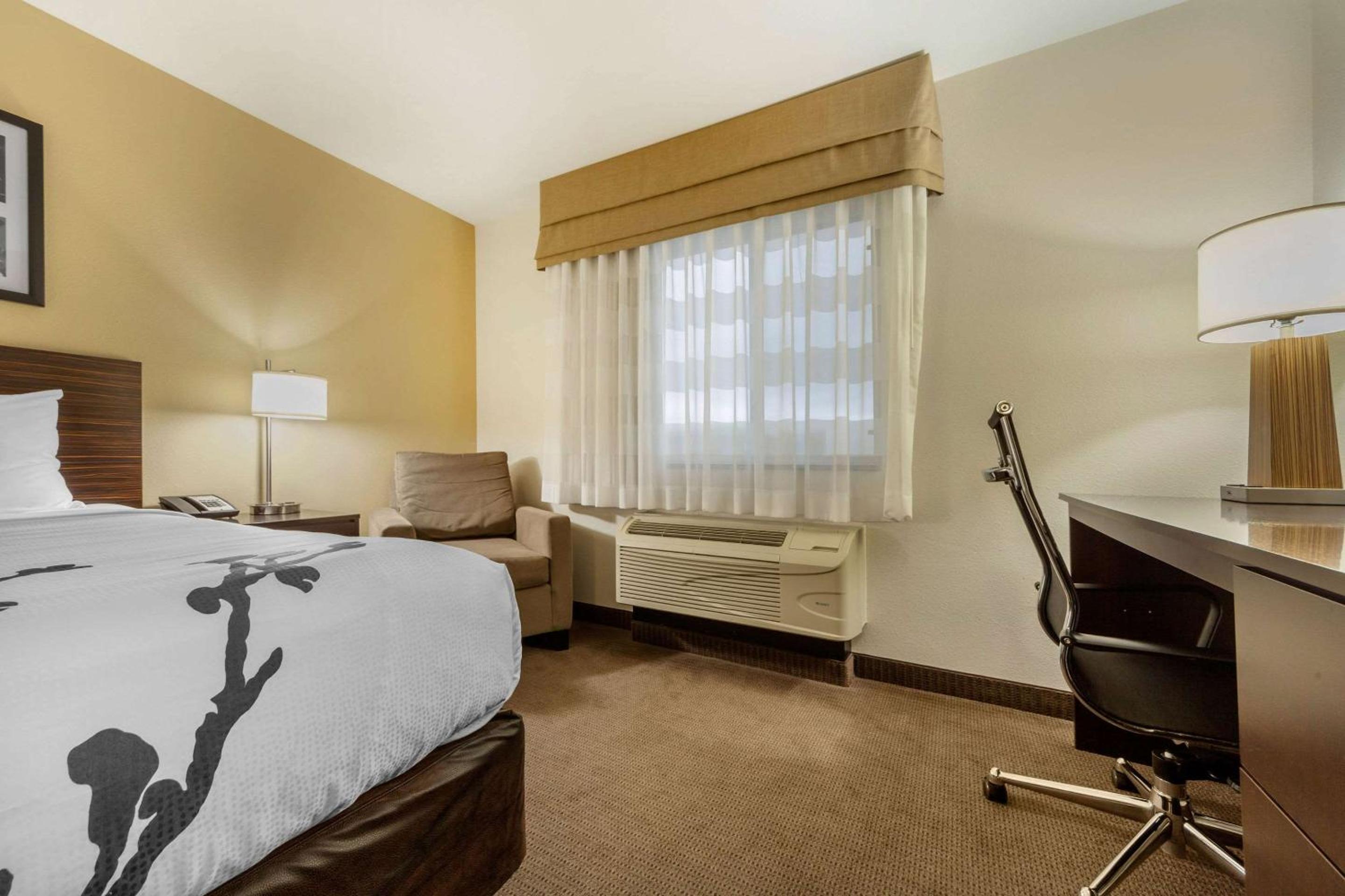 King Room - Non-Smoking - Photo 4