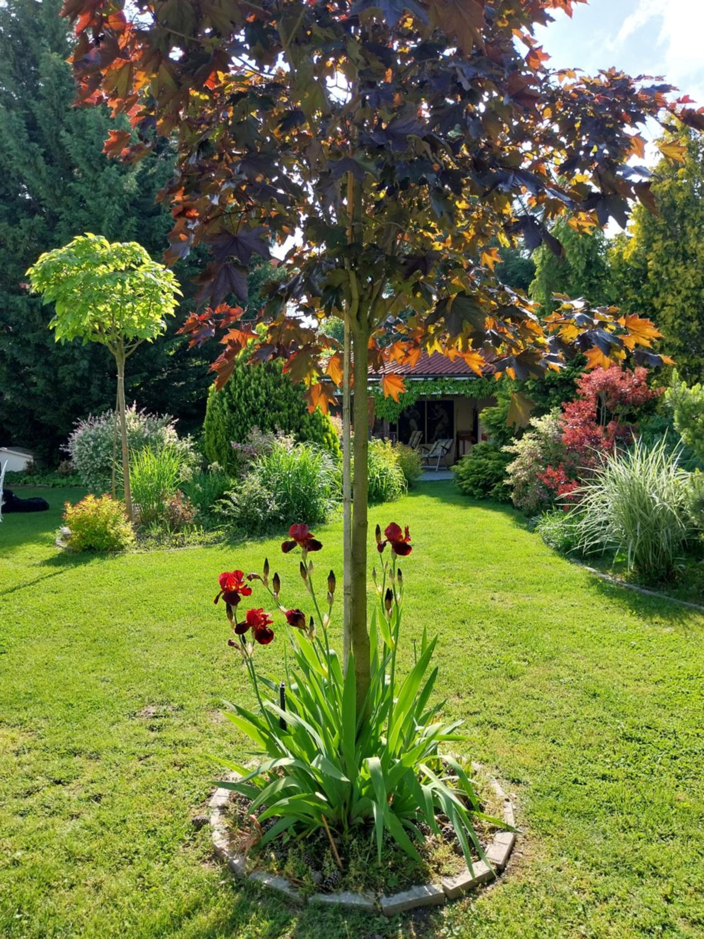 Double Room with Garden View photo 2