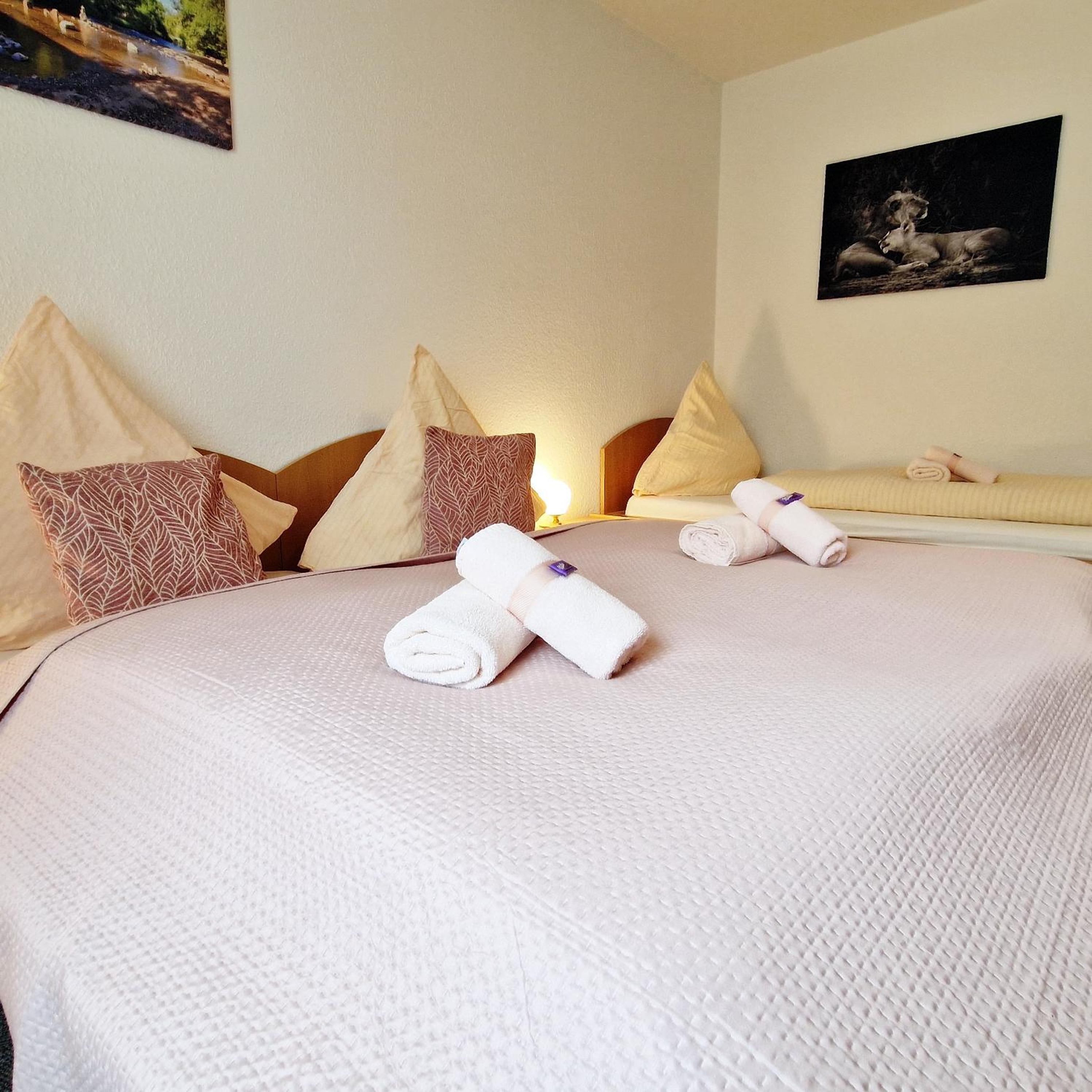 Triple Room with Private Bathroom photo 1