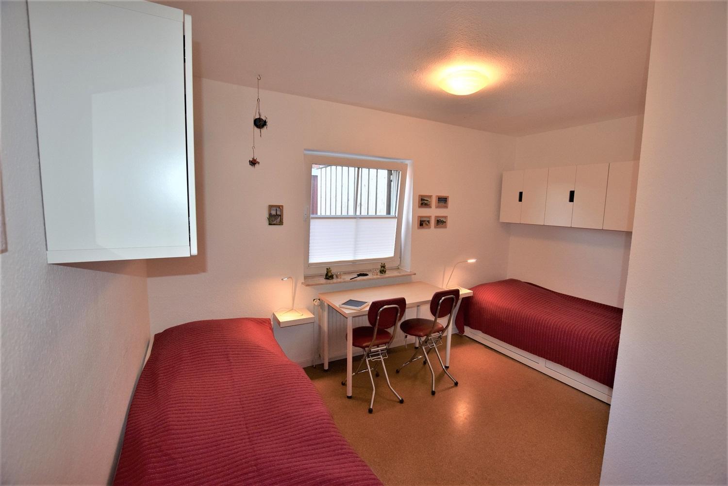 Apartment with Terrace photo 2