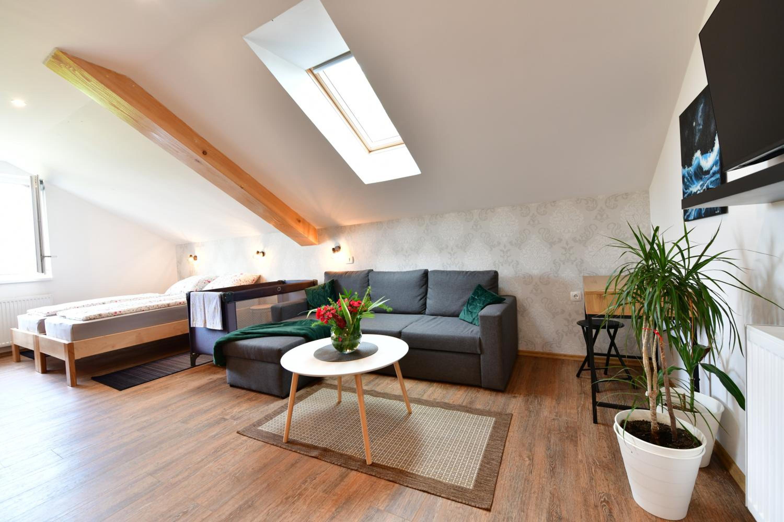 King Studio with Sofa Bed - Photo 3
