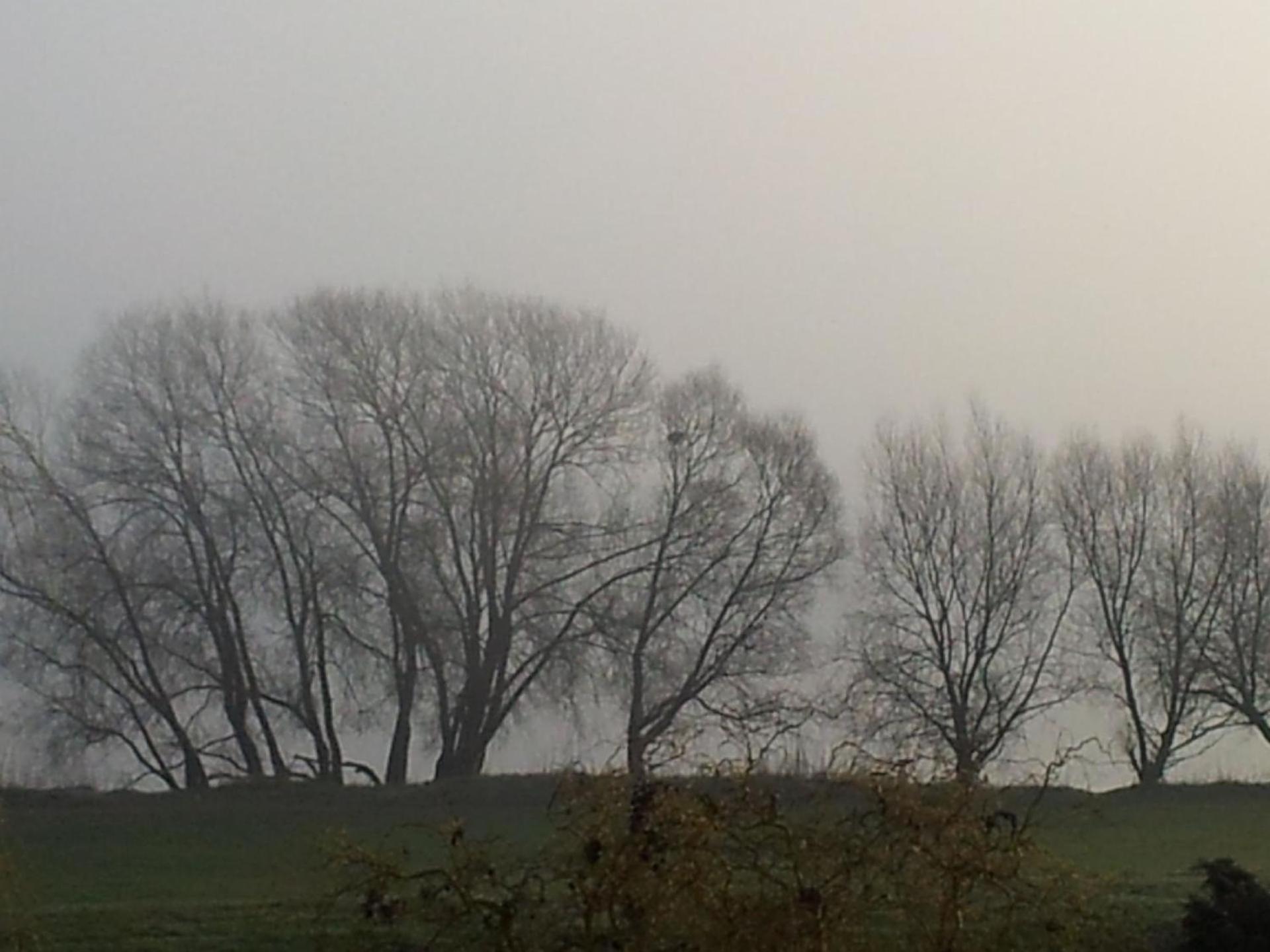 Holiday Home photo 3