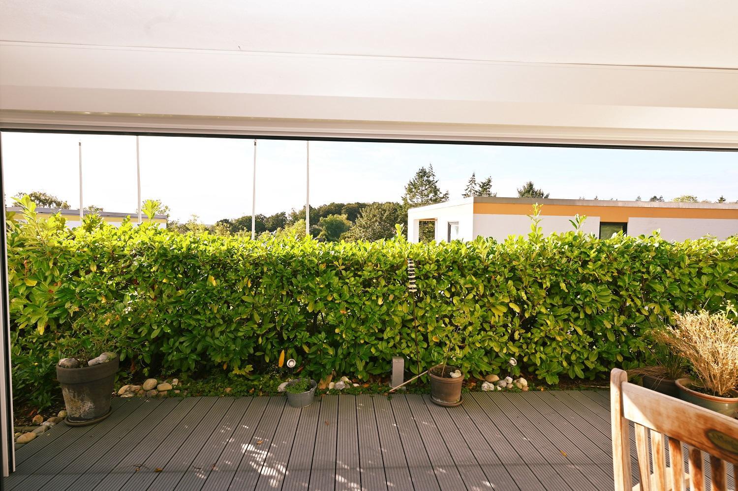 Apartment with Terrace photo 3