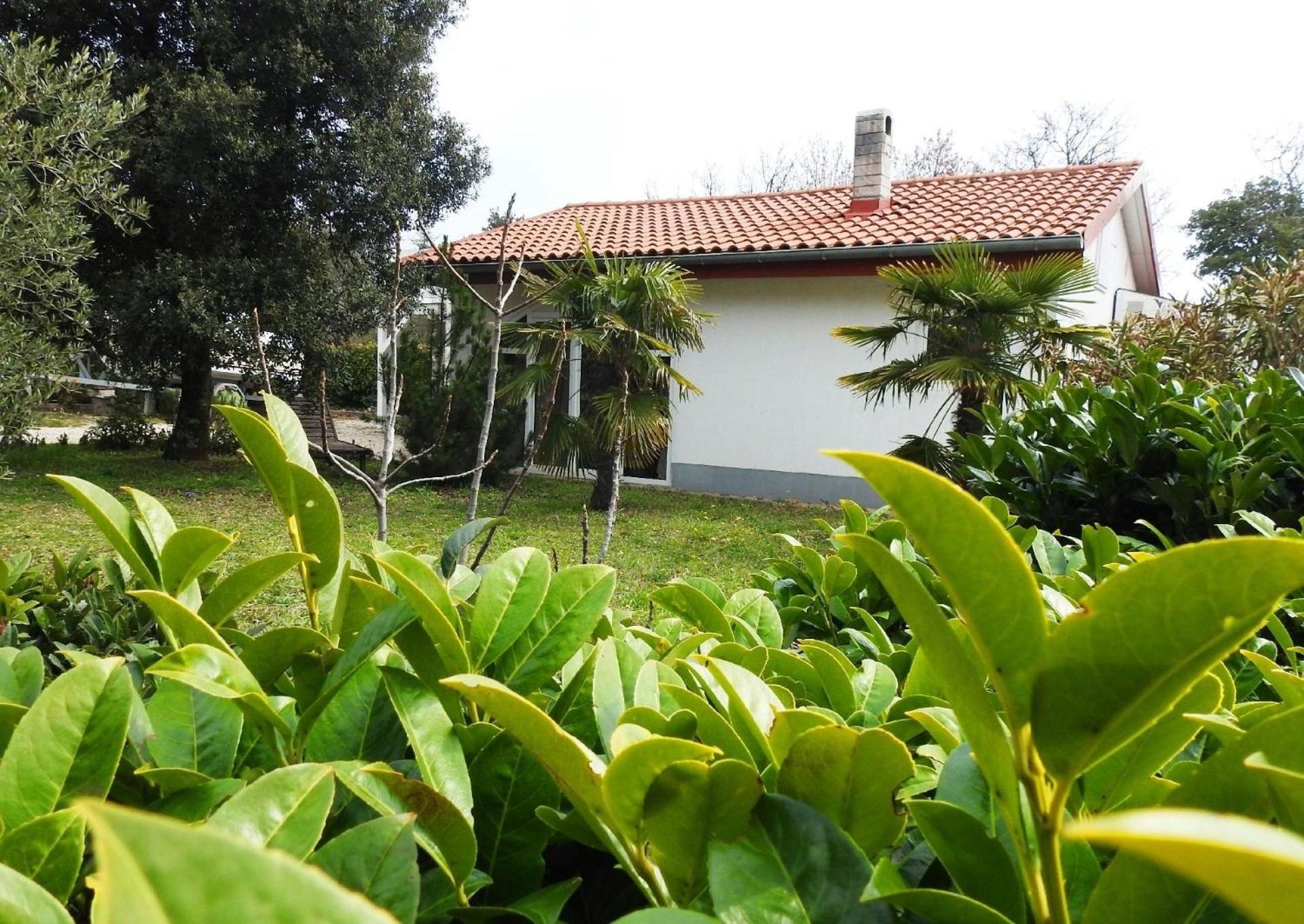 Holiday Home photo 2
