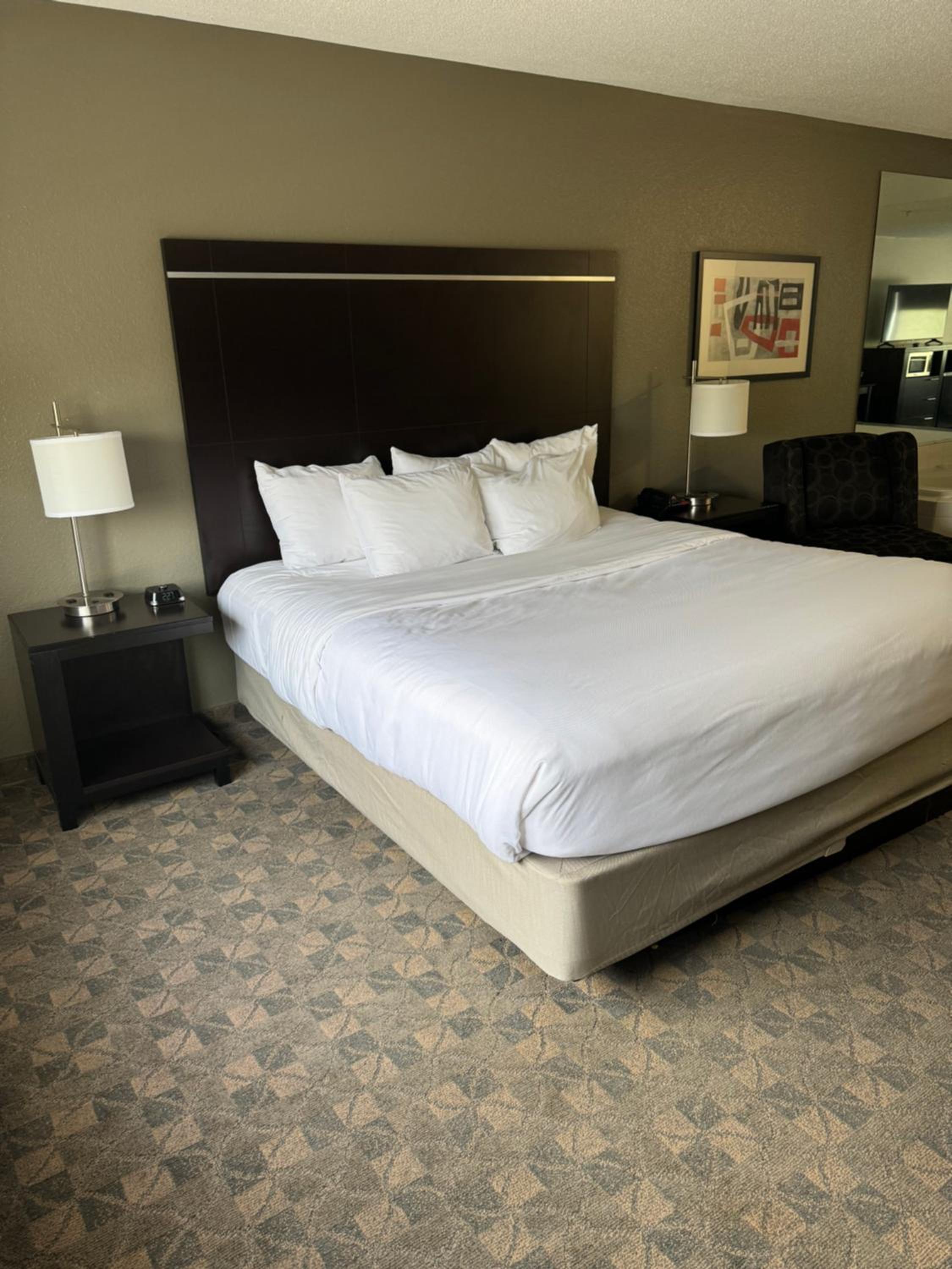Deluxe Suite with Spa Bath - Photo 2