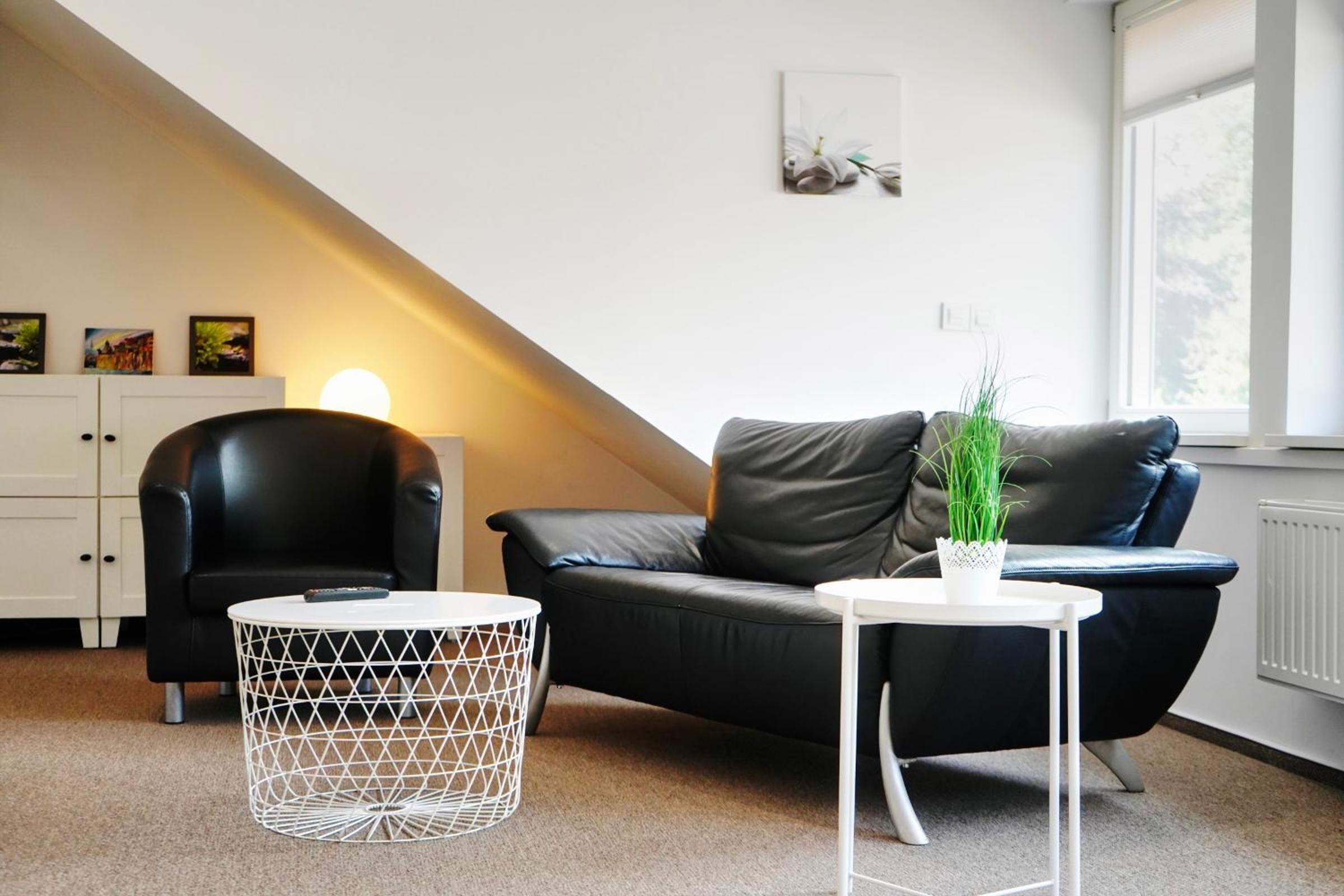 One-Bedroom Apartment photo 3