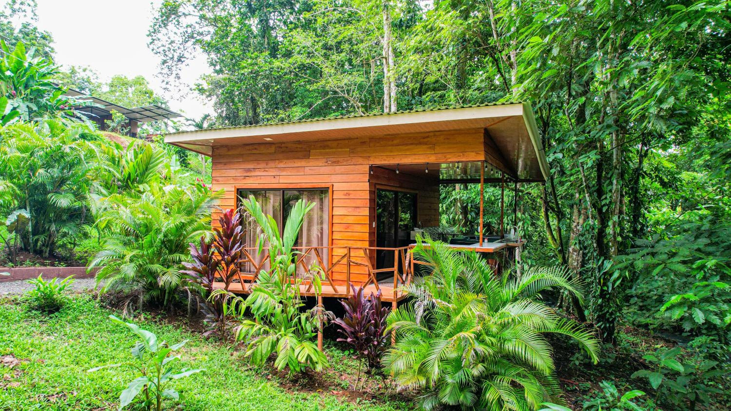 Bungalow Deluxe photo 2