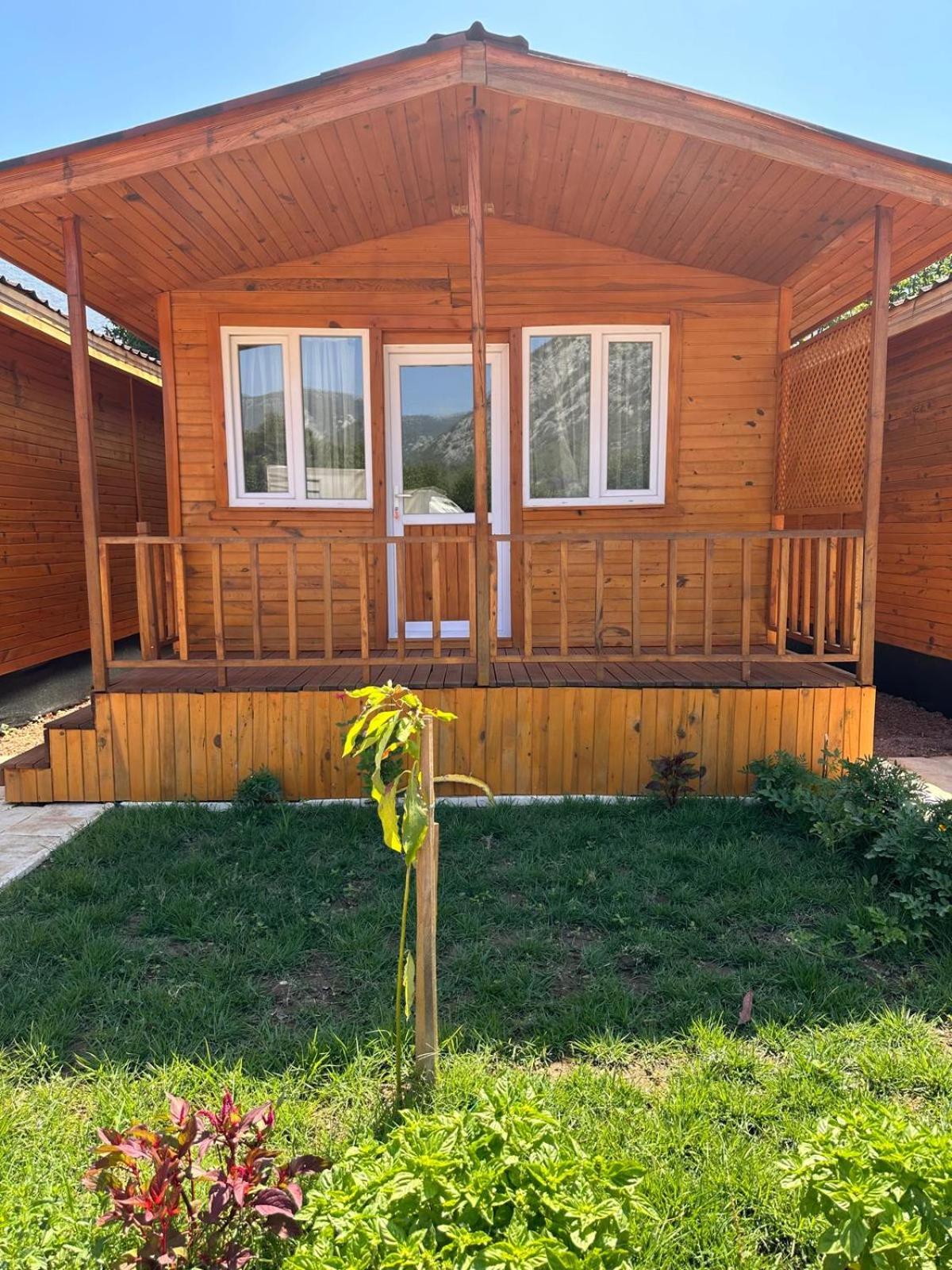 Bungalow photo 1
