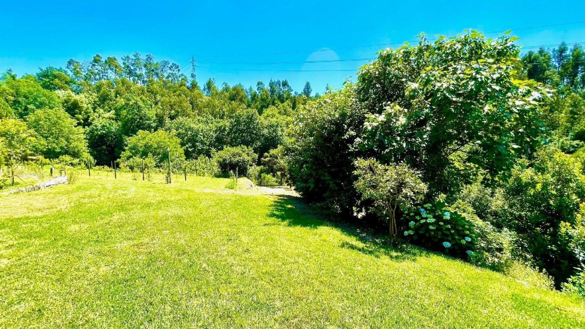 Holiday Home photo 3
