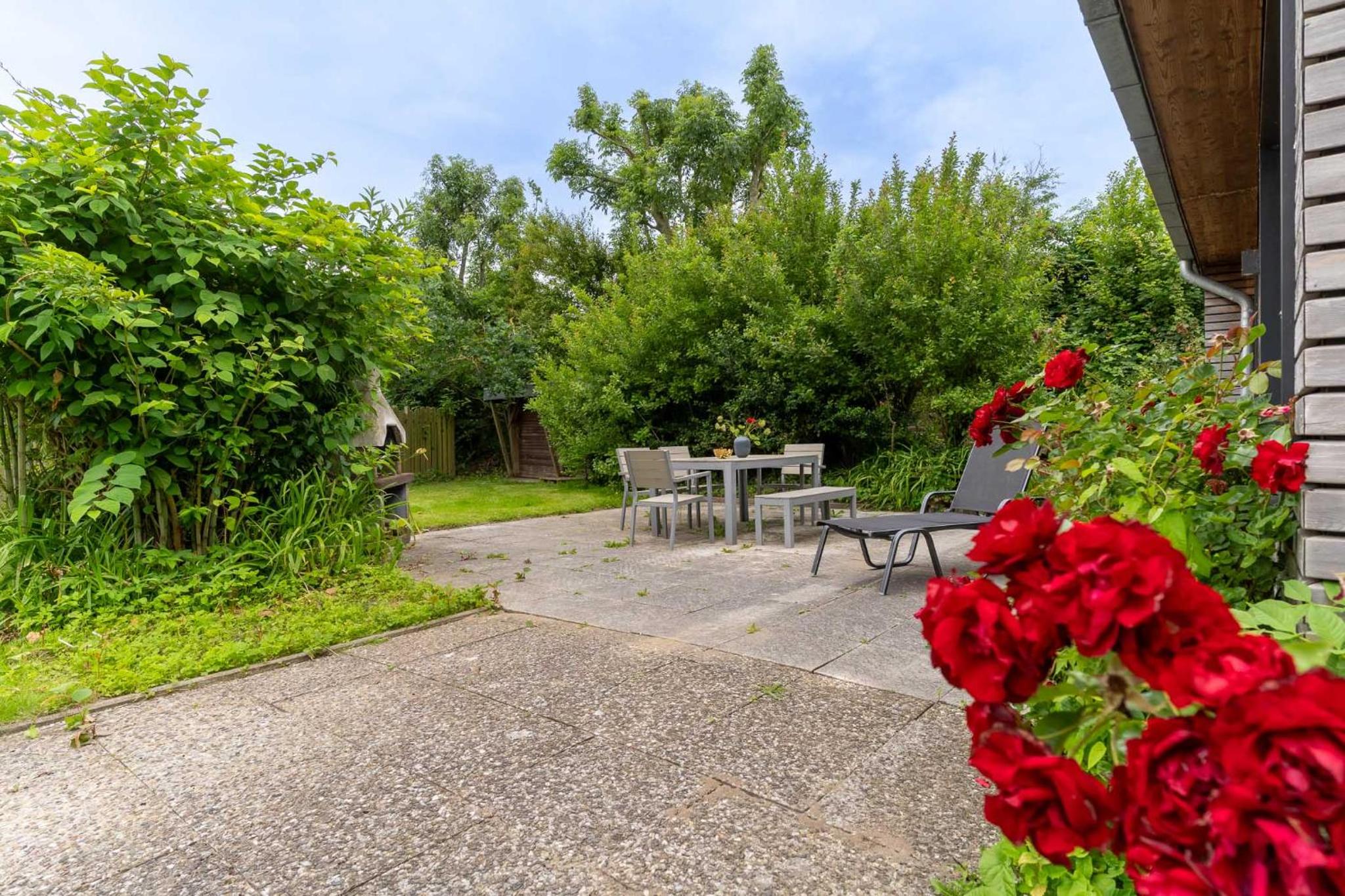 Apartment with Terrace photo 2
