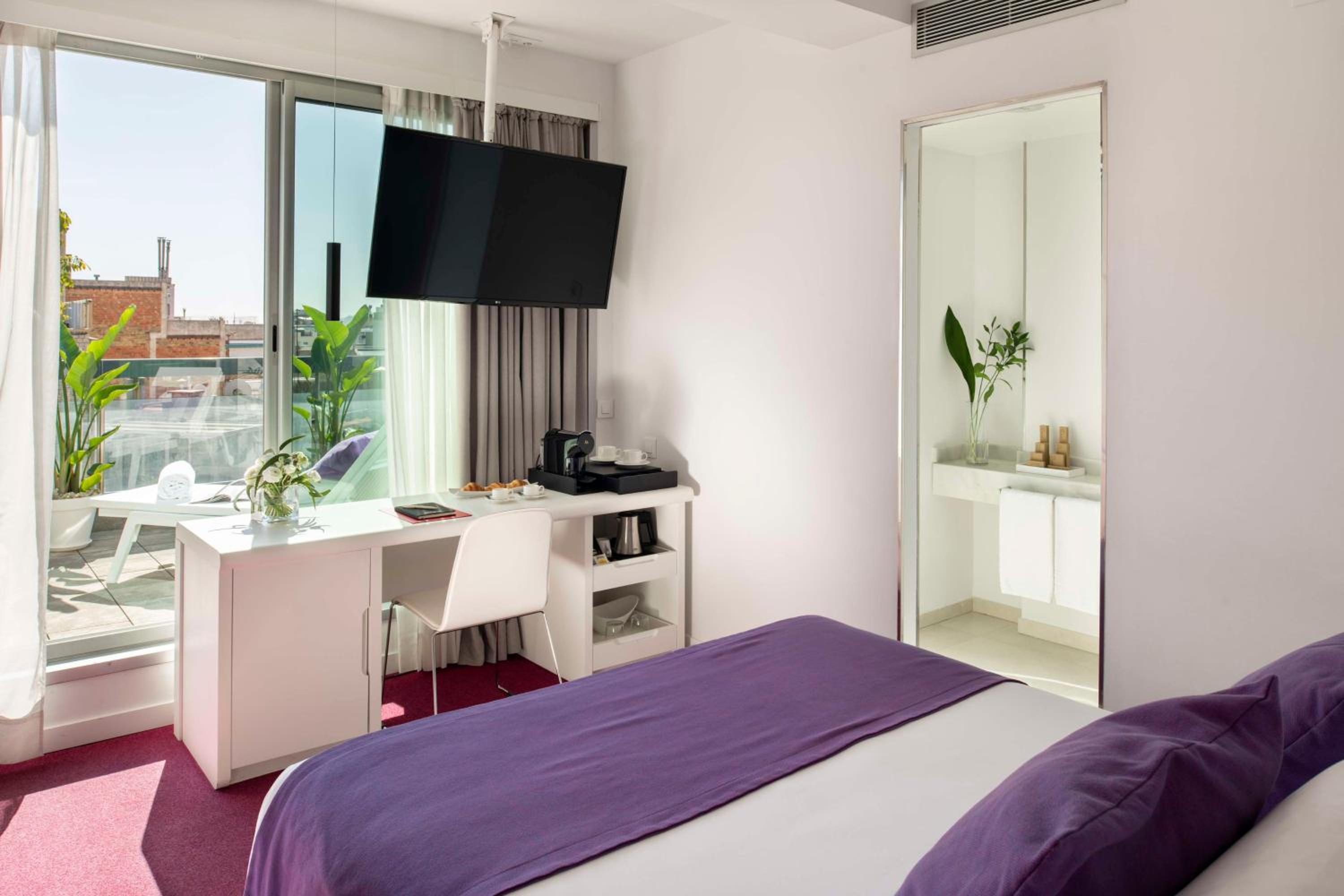 Estudio con terraza