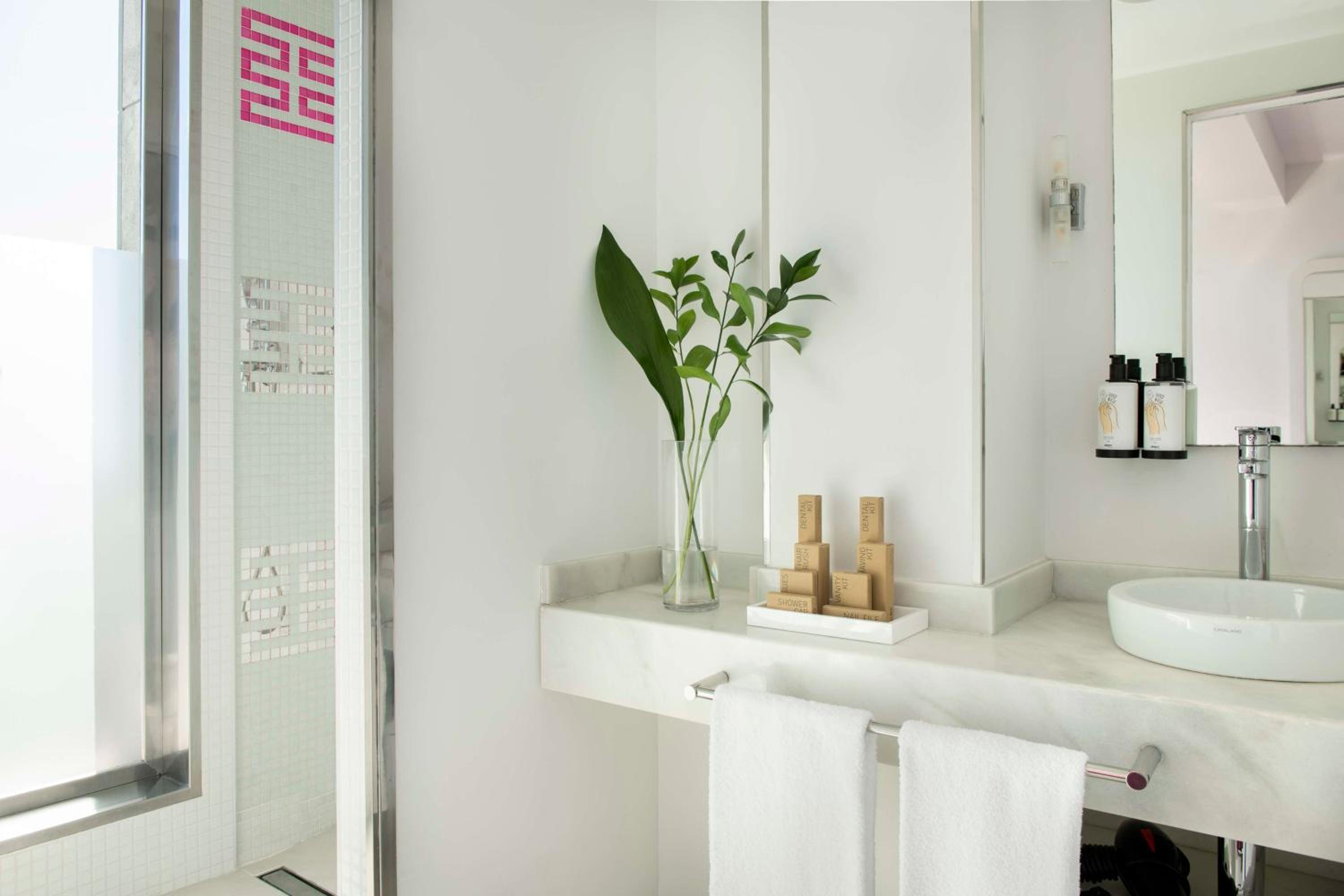 Studio with Terrace photo 2