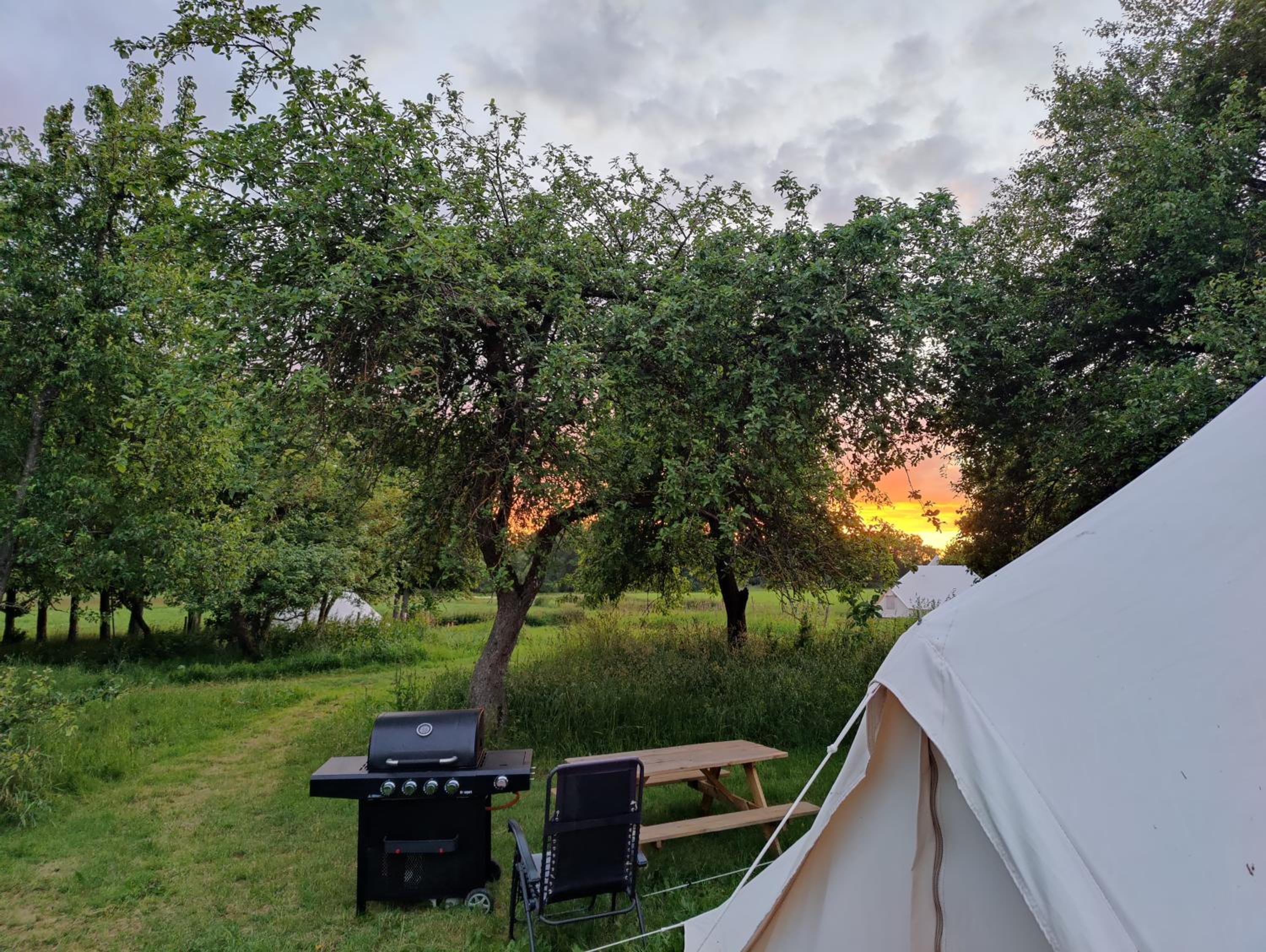 Luxury Tent Havesangeren photo 3