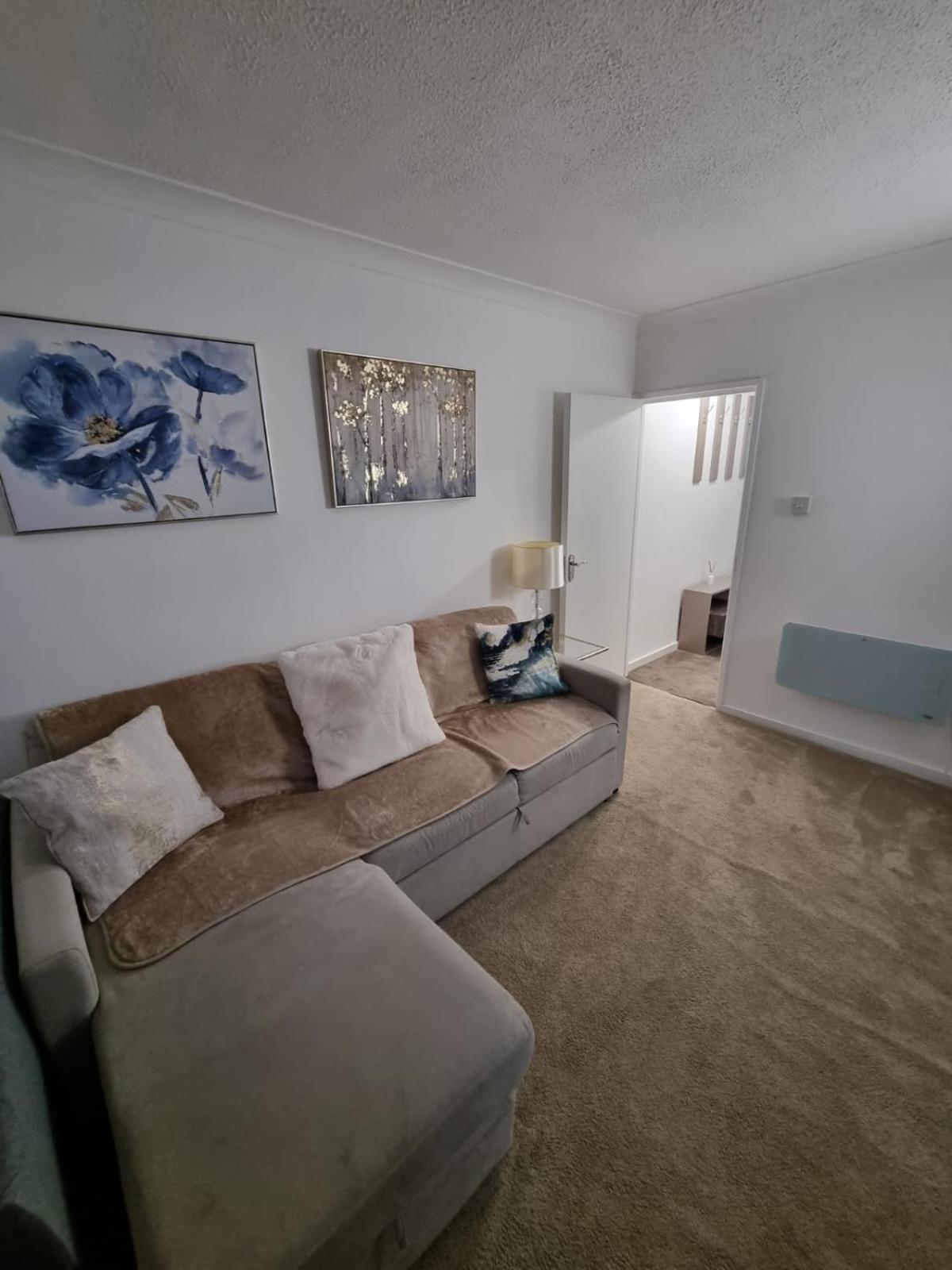 One-Bedroom Apartment photo 3