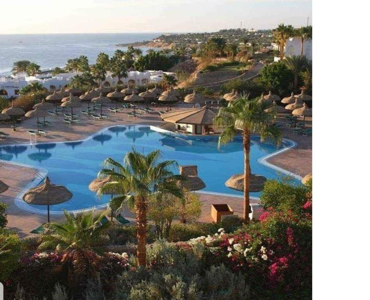 One-Bedroom Apartment with Balcony and Sea View photo 3