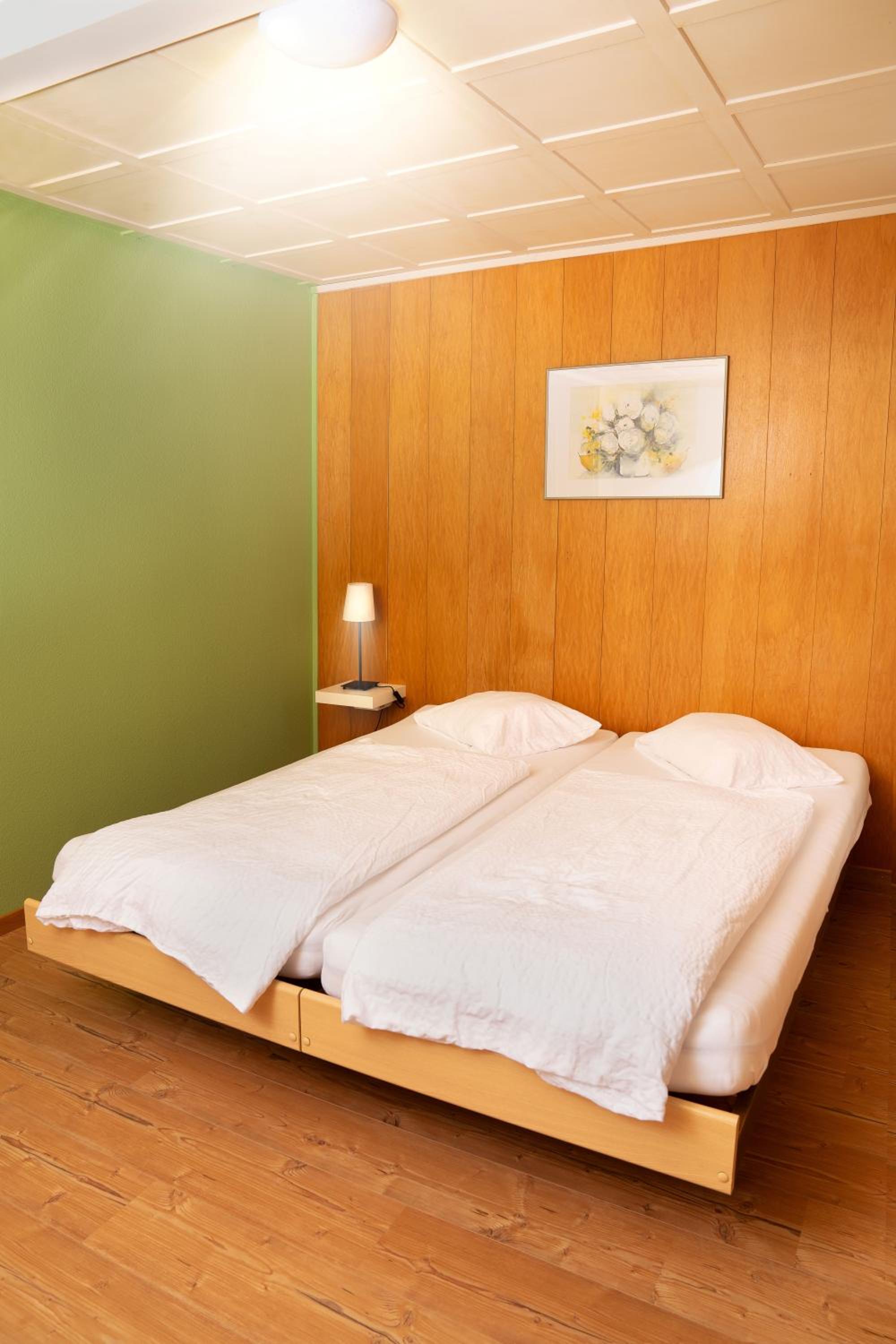 Double Room with Mountain View