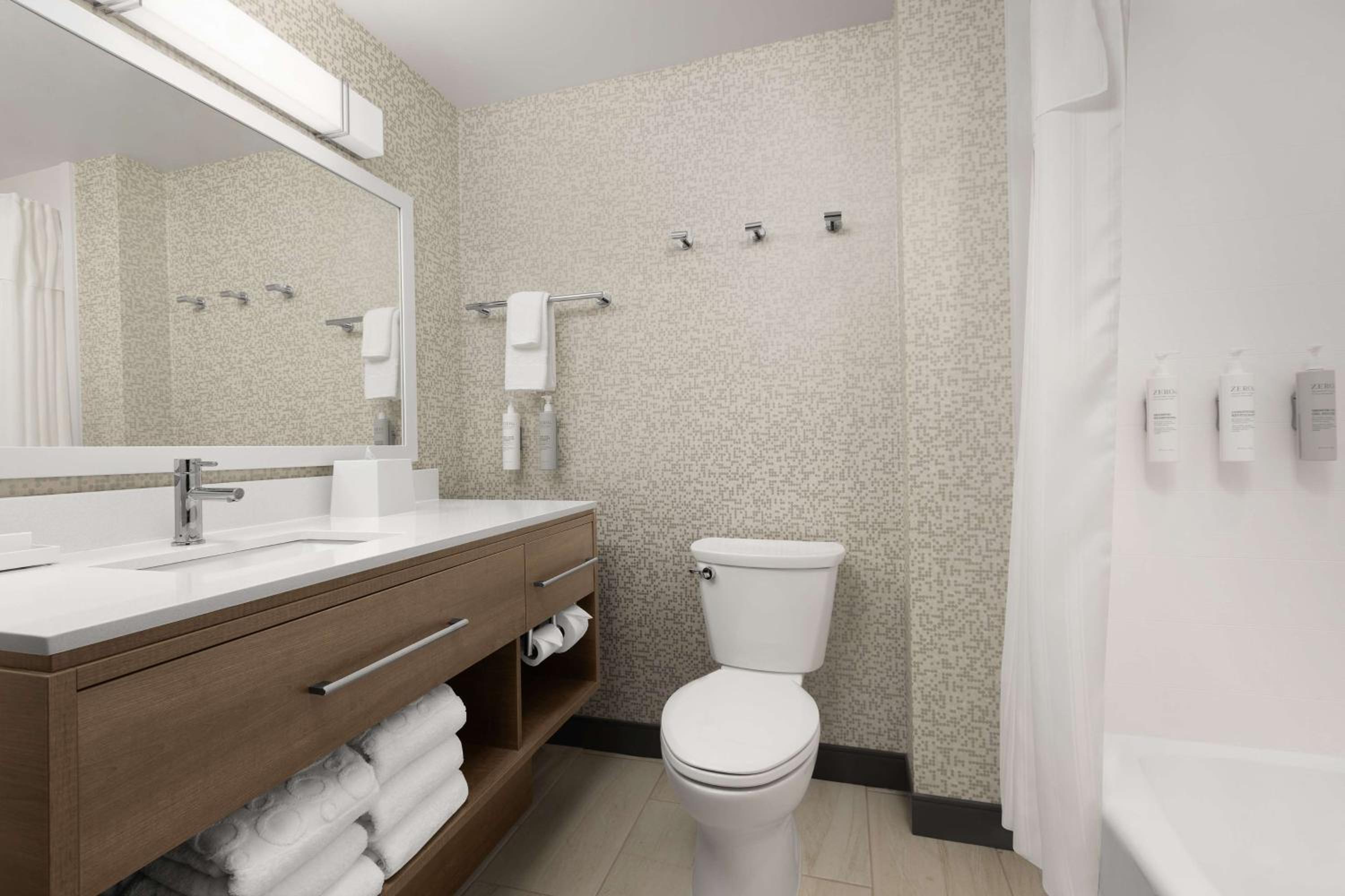 Studio Suite with Two Queen Beds - Photo 4