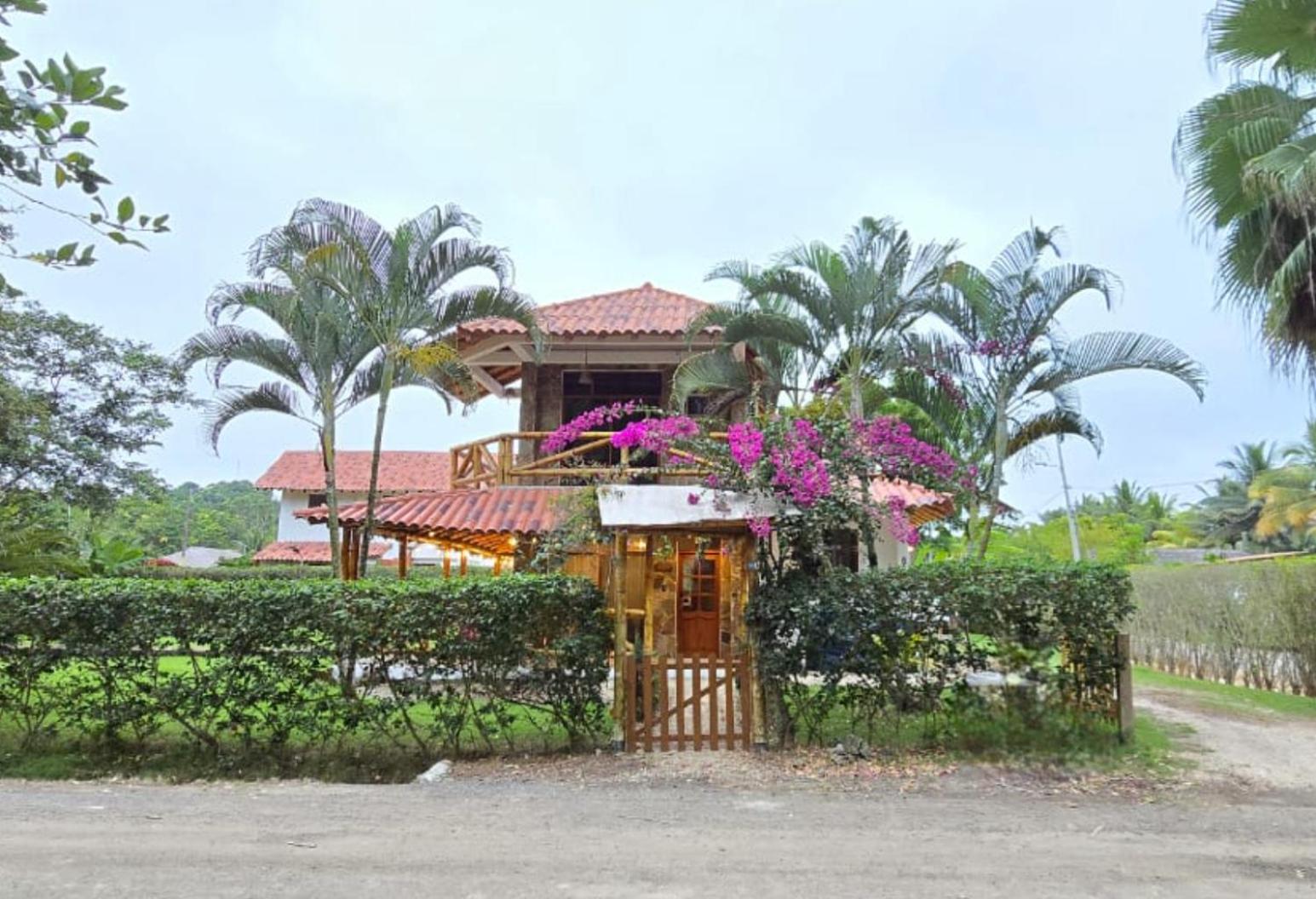 Three-Bedroom House photo 3