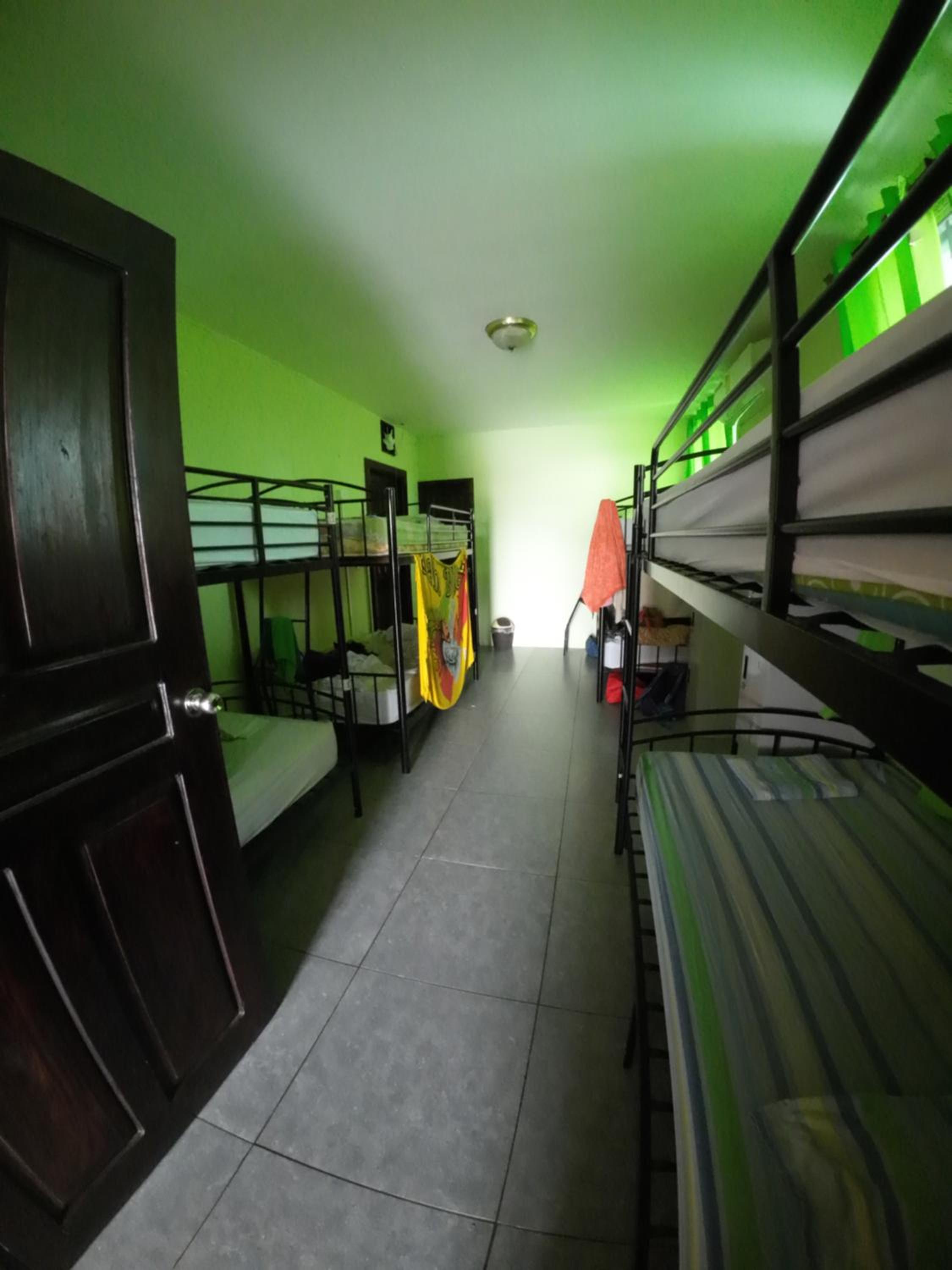 Bed in 8-Bed Mixed Dormitory Room photo 1