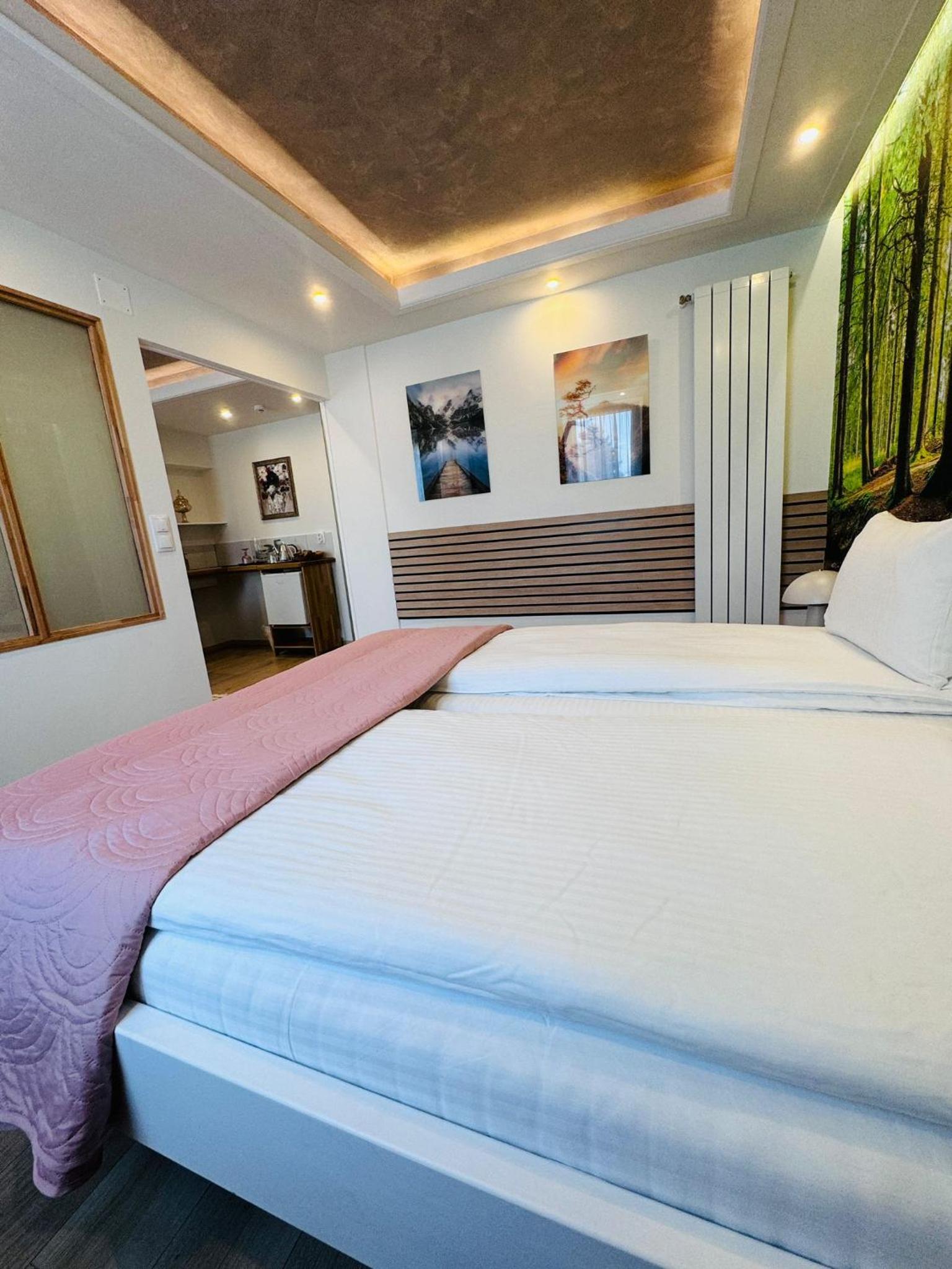 Deluxe Suite - Photo 3
