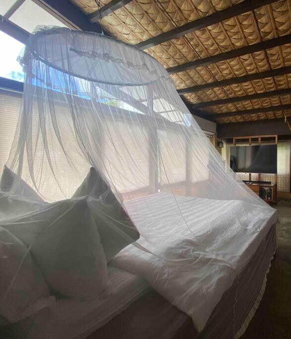 One-Bedroom Villa photo 3