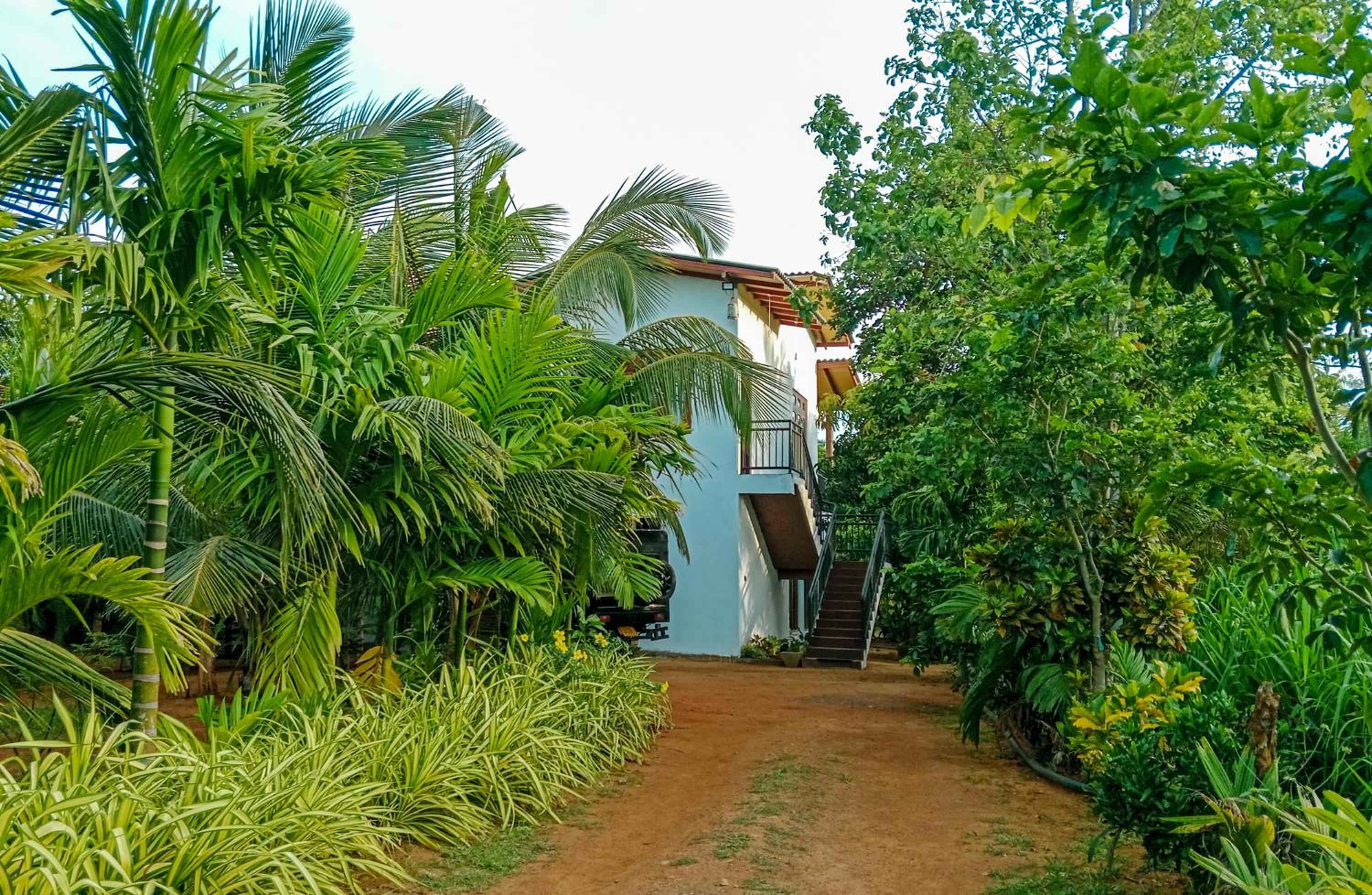 Double Room with Garden View photo 2