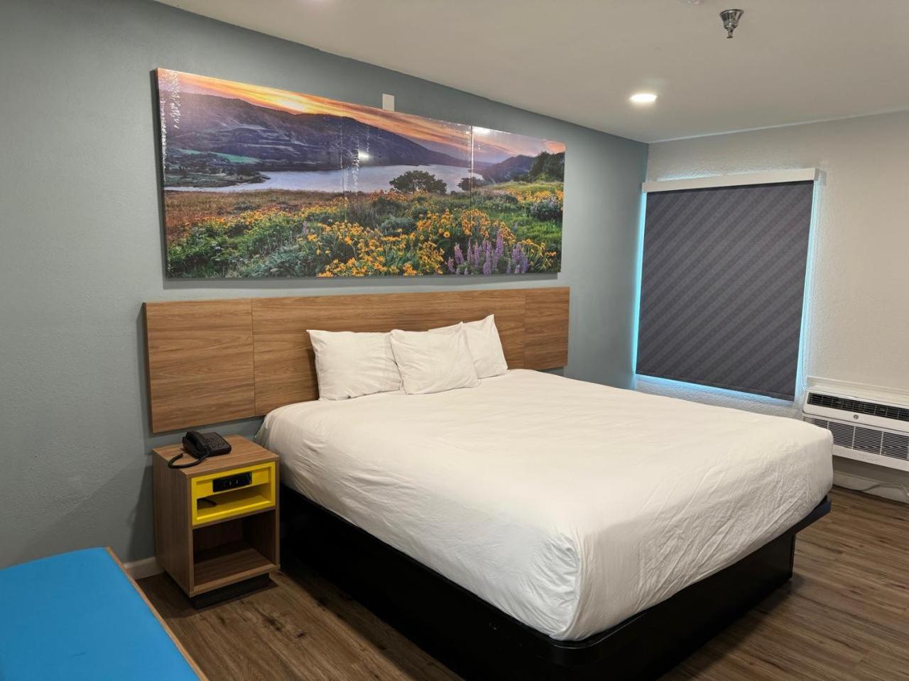 King Room with Mobility/Hearing Access and Roll-In Shower, Non-Smoking - Photo 1
