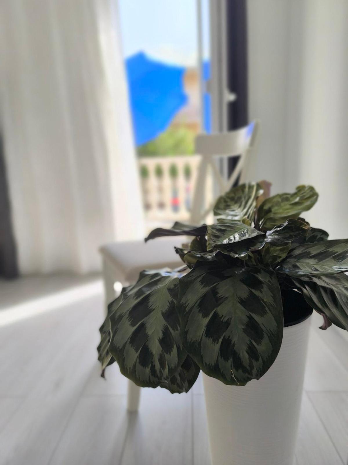 Studio with Balcony