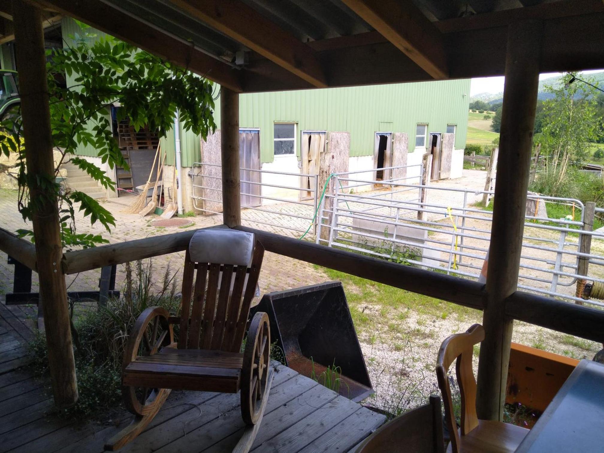 Double Room with Terrace photo 3