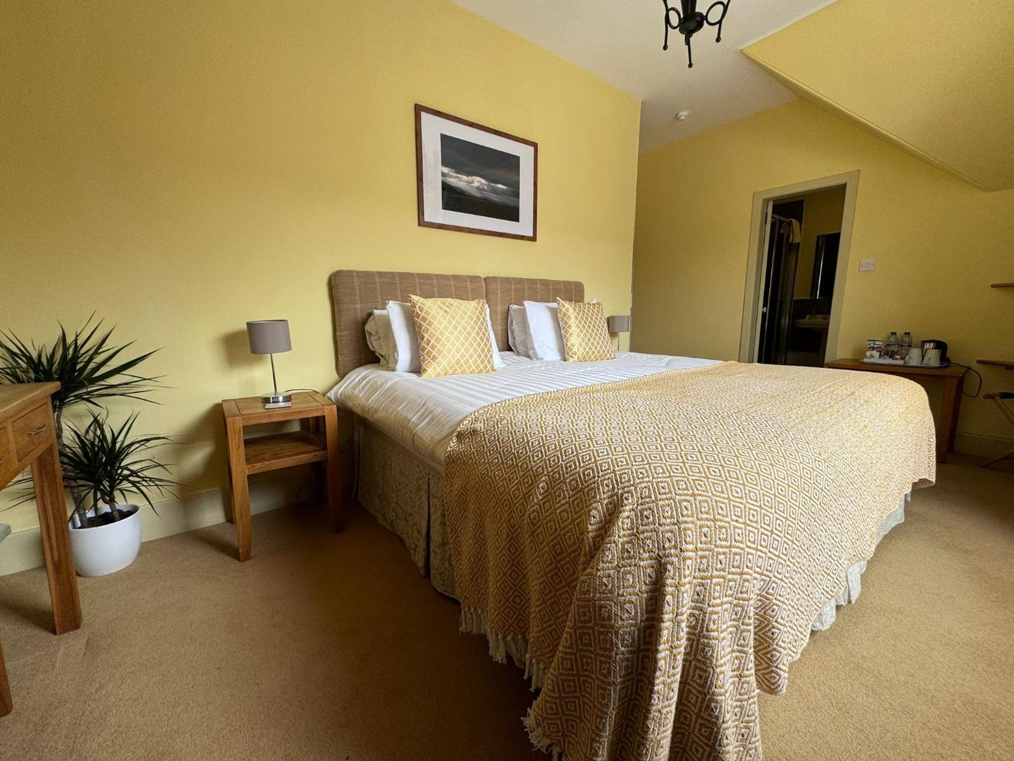 Large Double Room photo 2