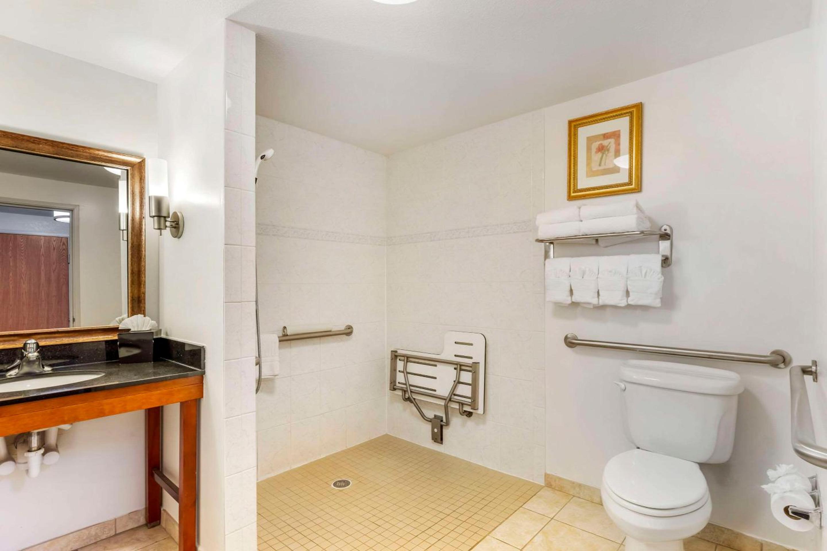 Business King Suite with Roll-In Shower - Accessible/Non-Smoking - Photo 5