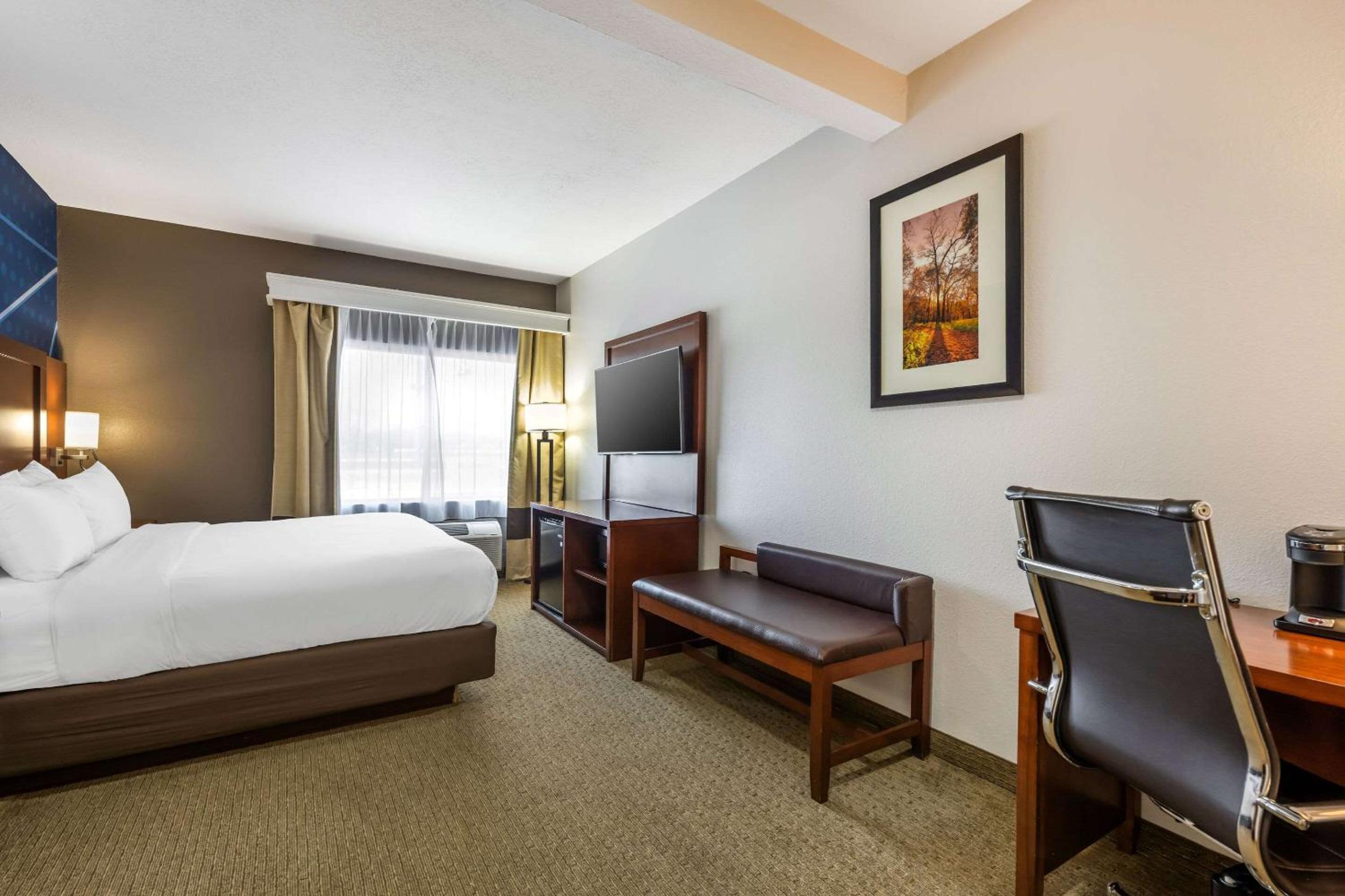 King Suite - Photo 1