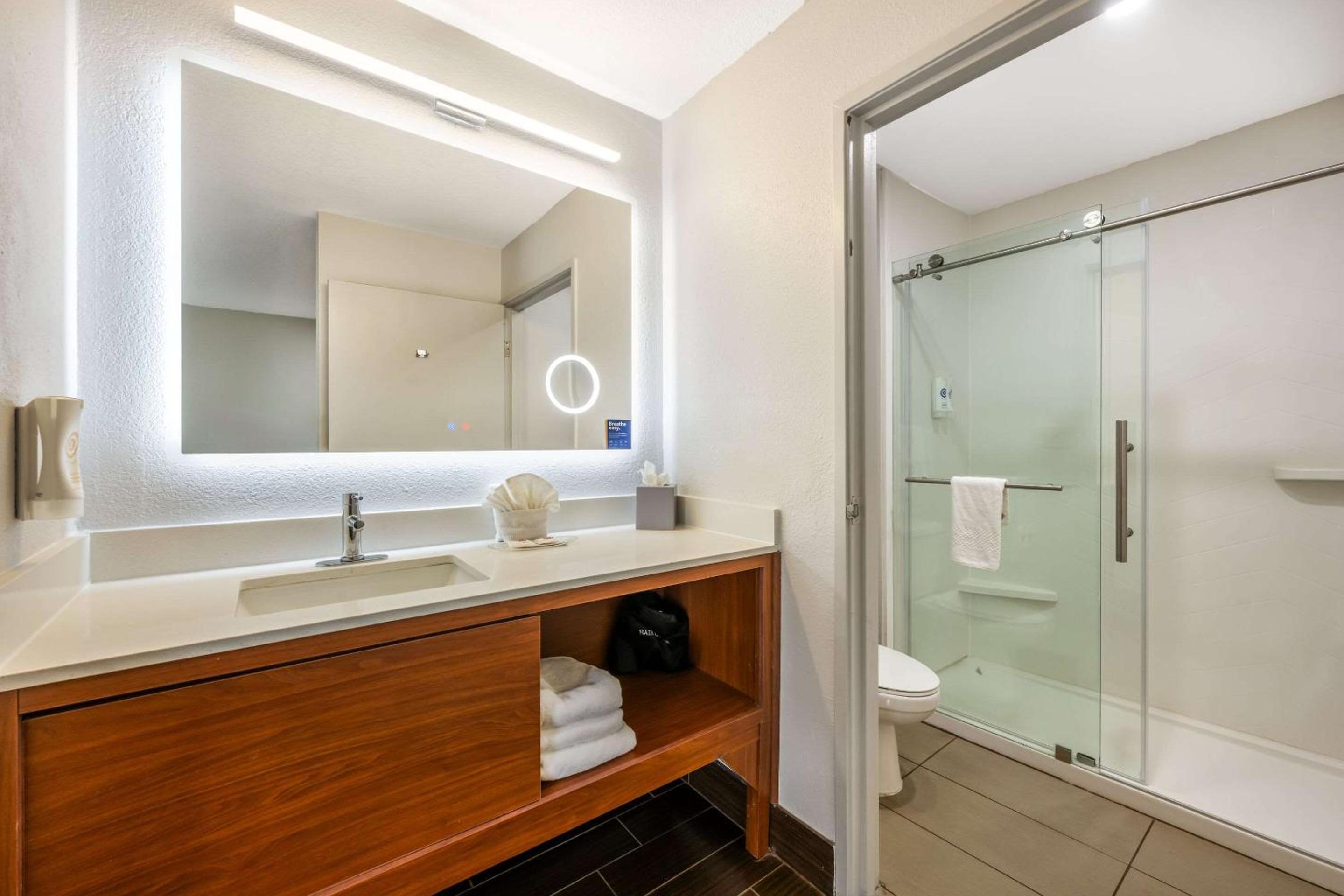 King Suite - Non-Smoking - Photo 6