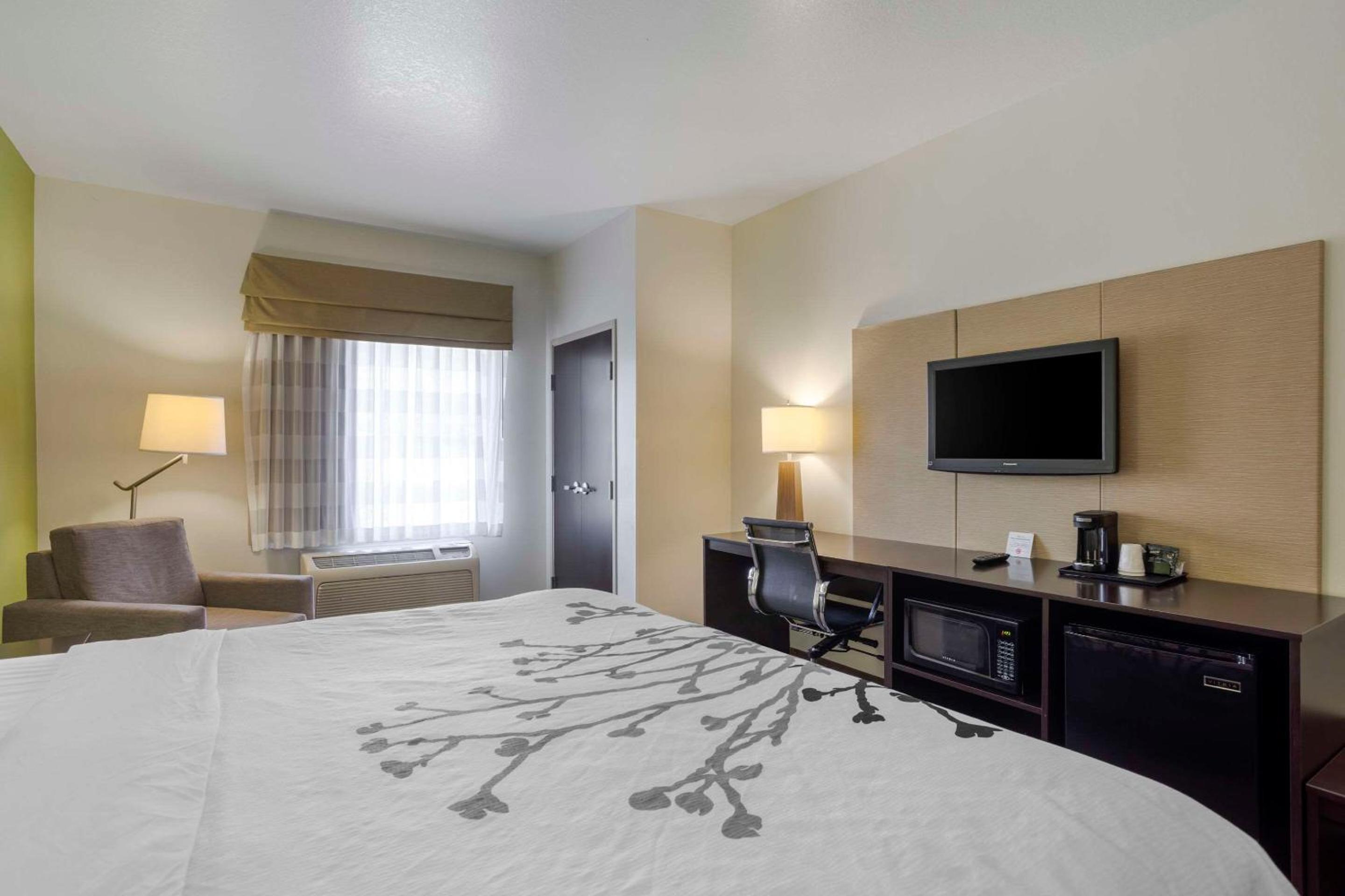 Standard King Room - Non-Smoking  - Photo 7