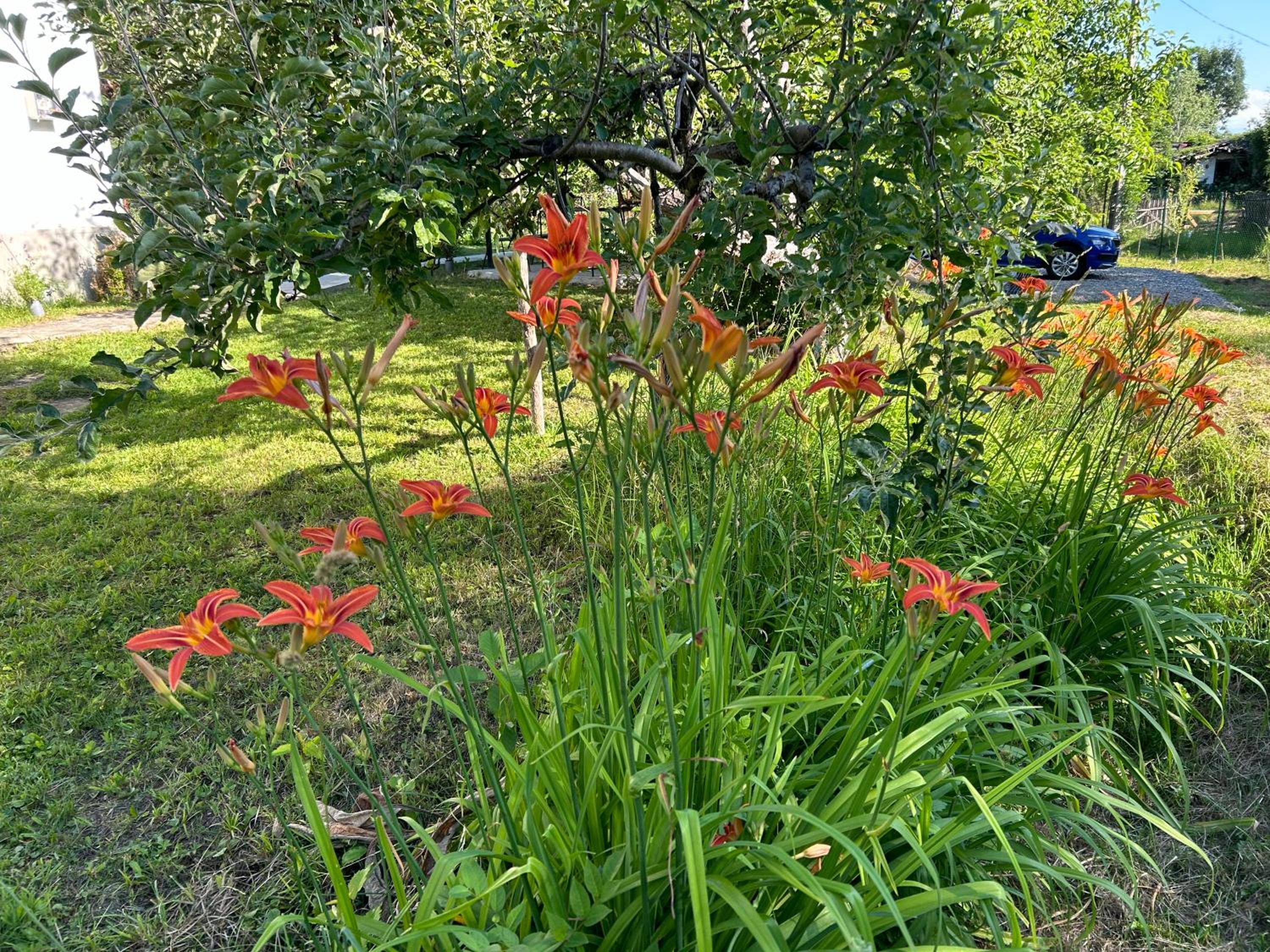 Vacation Home - Photo 13