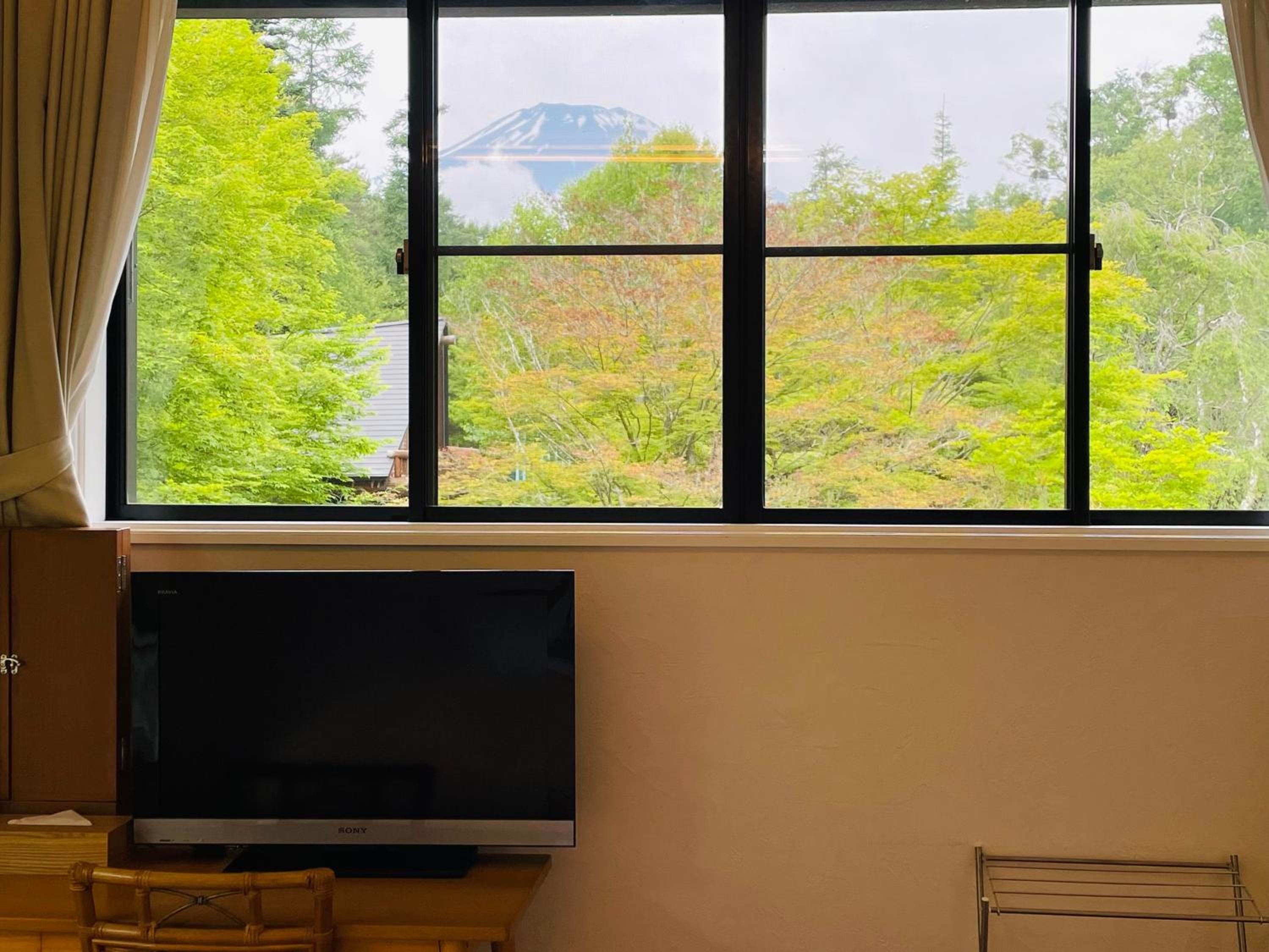 King Room with Mountain View - Photo 4