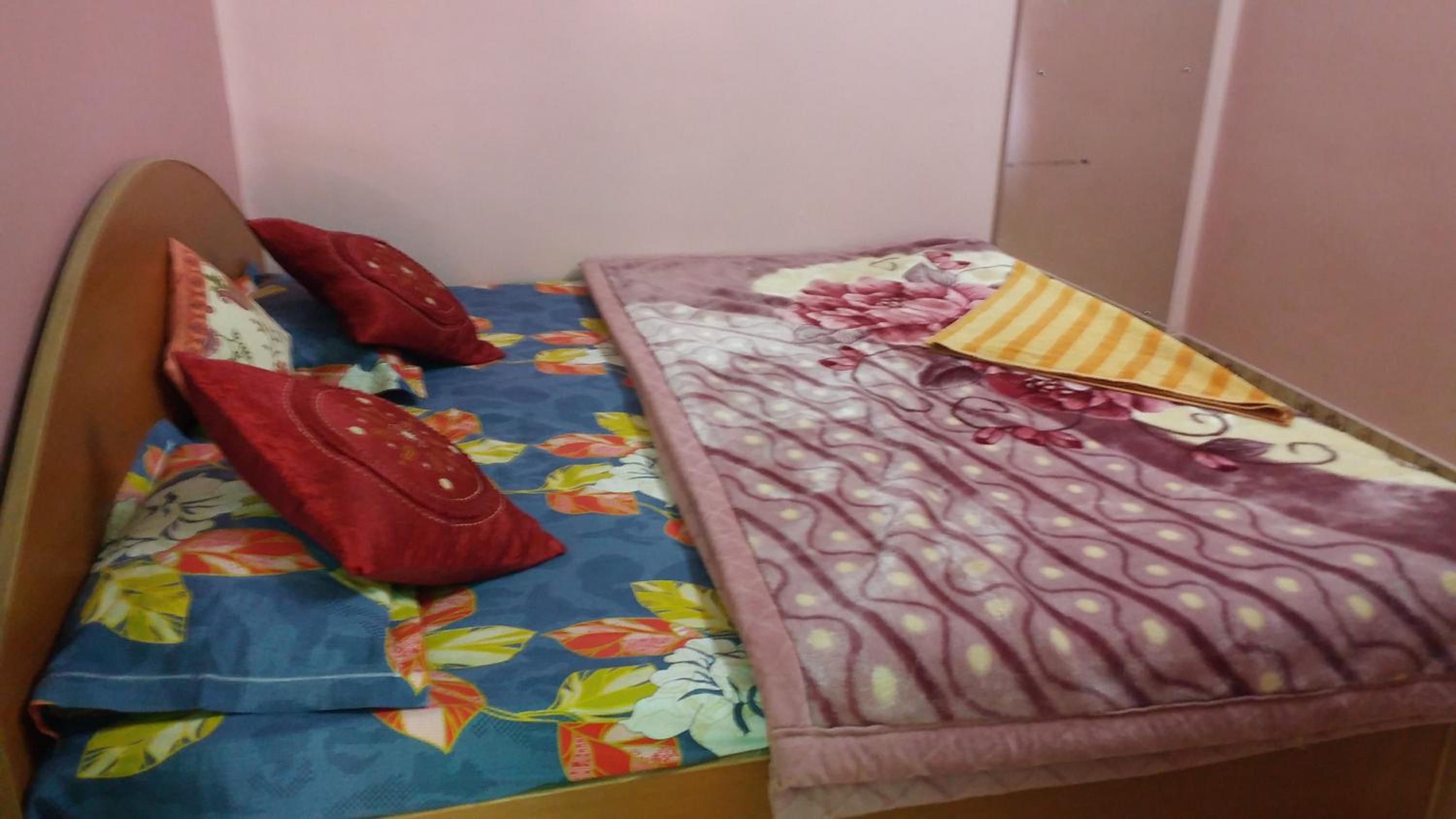 Deluxe Double or Twin Room with Fan photo 1