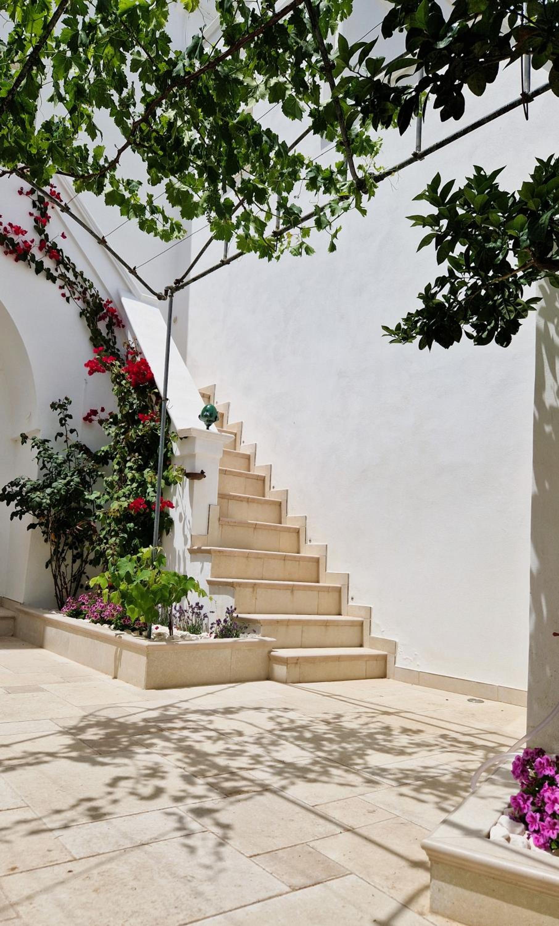One-Bedroom Apartment with Garden photo 2