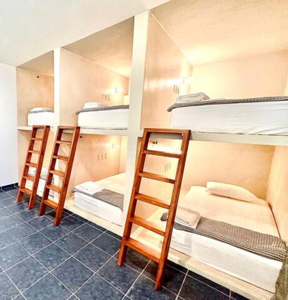 Single Bed in 6-Bed Dormitory Room