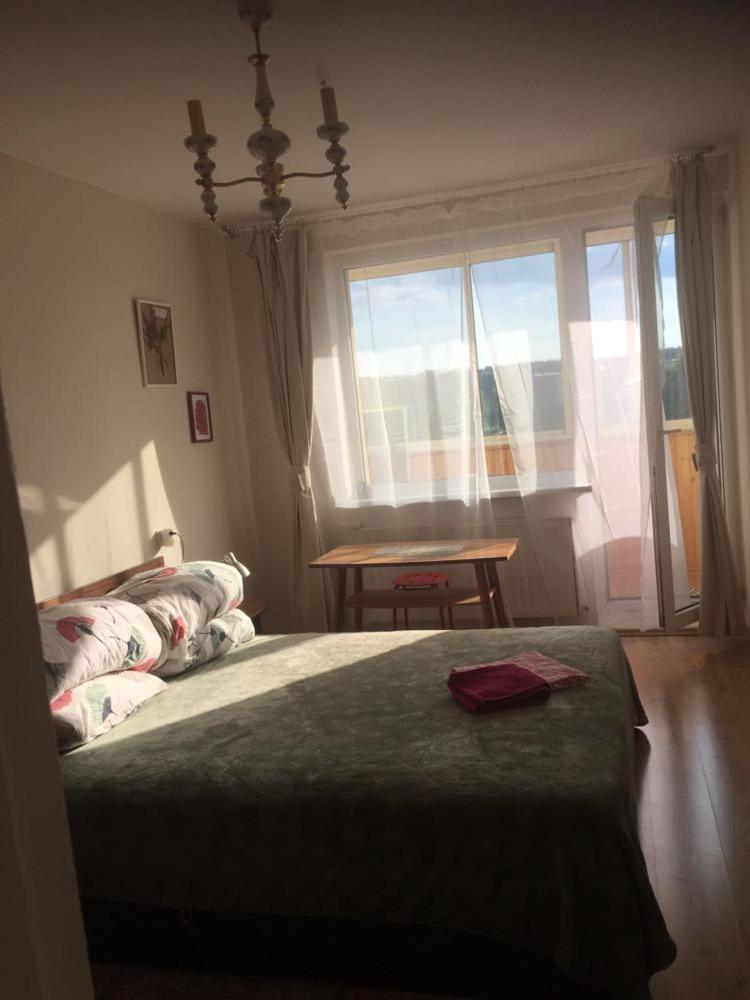 One-Bedroom Apartment - Photo 1