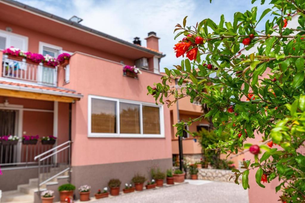 Apartment with Terrace photo 3