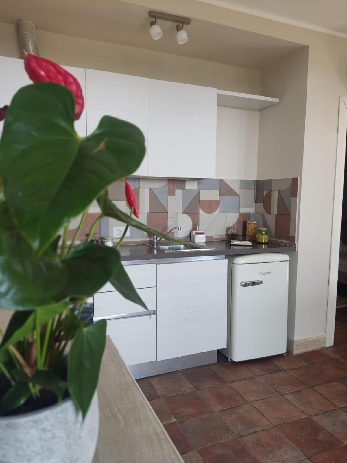 Superior Apartment photo 3