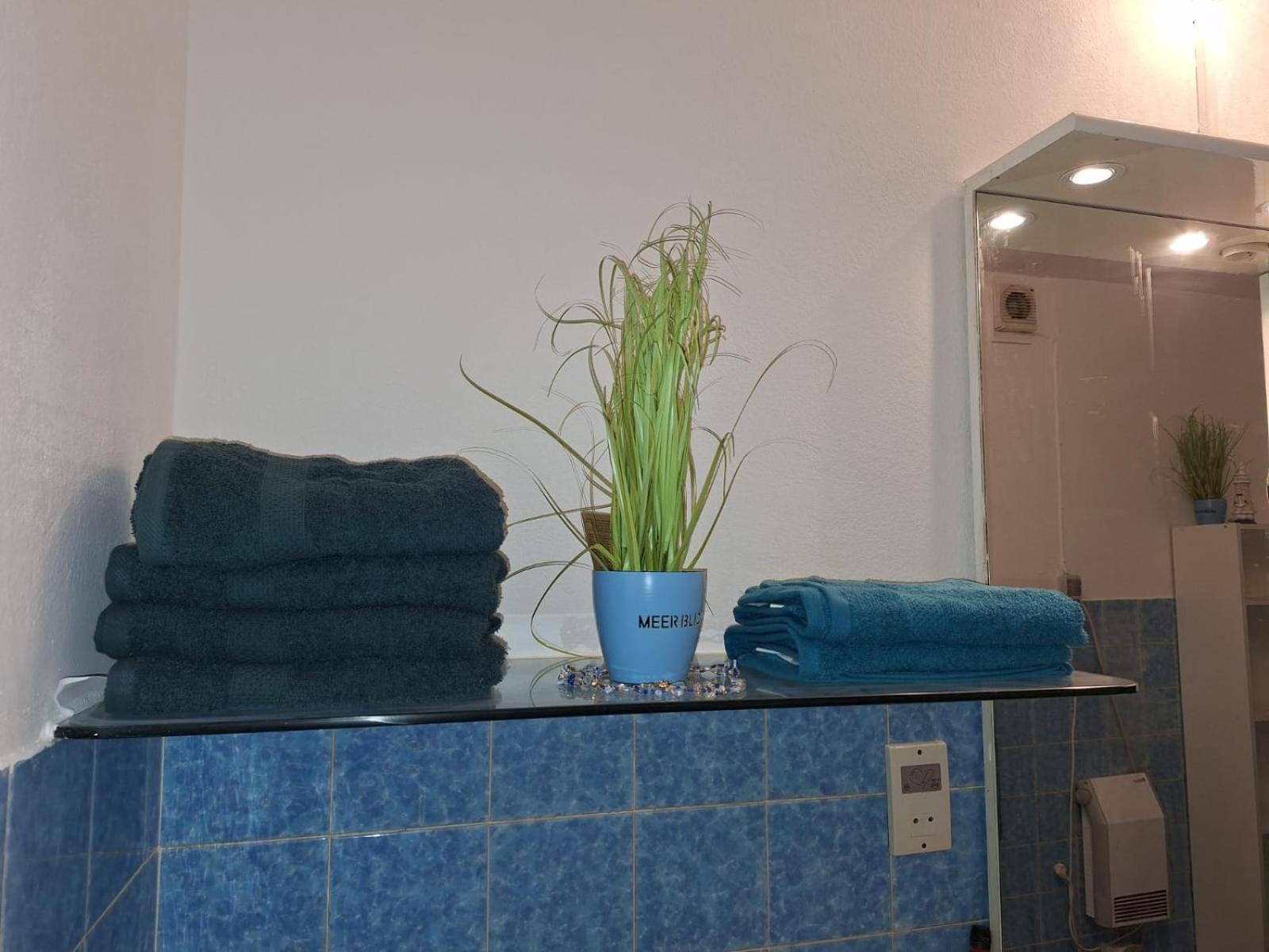 One-Bedroom Apartment photo 3