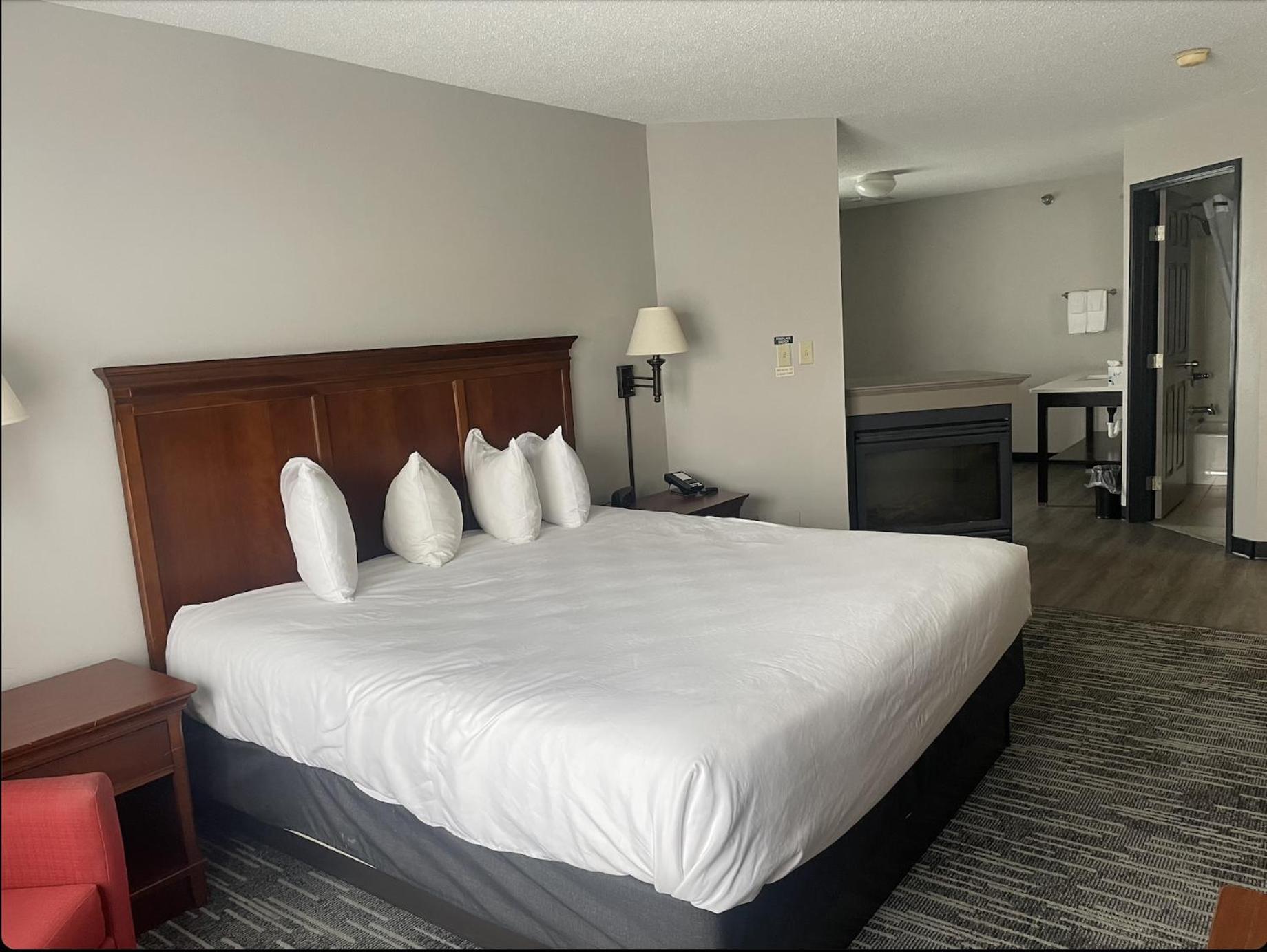 Deluxe King Suite - Photo 1